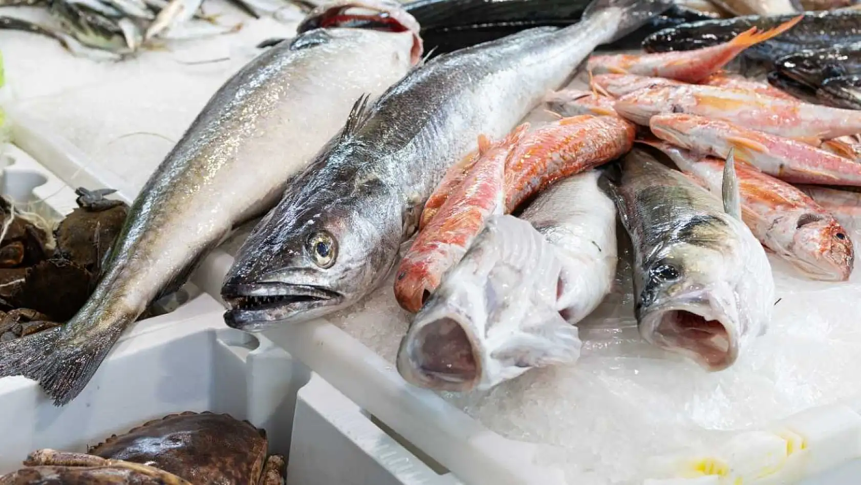 Muğla'da denizlerde av sezonu sona erdi