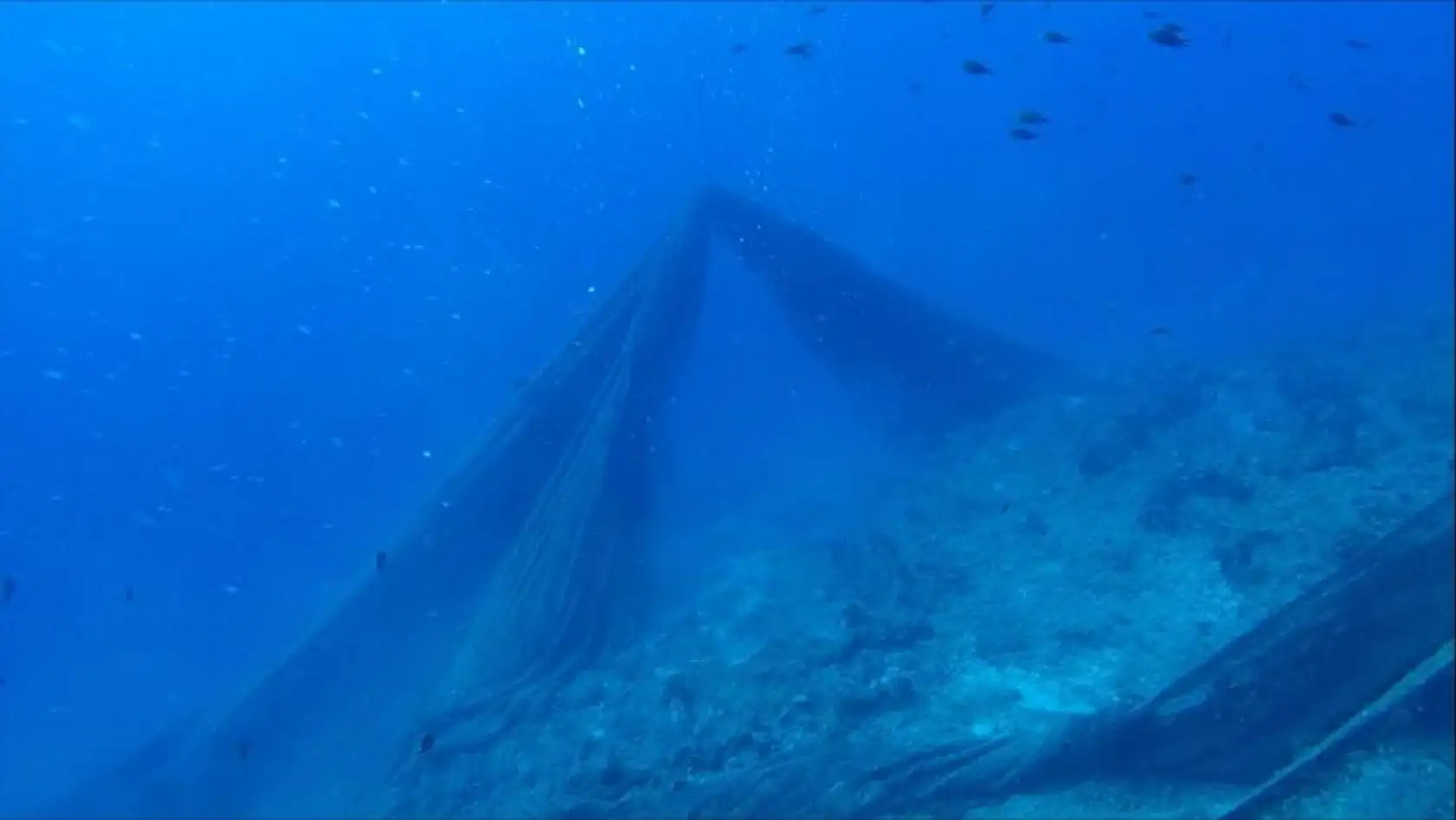 Hayalet ağlar mavi vatanı tehdit ediyor