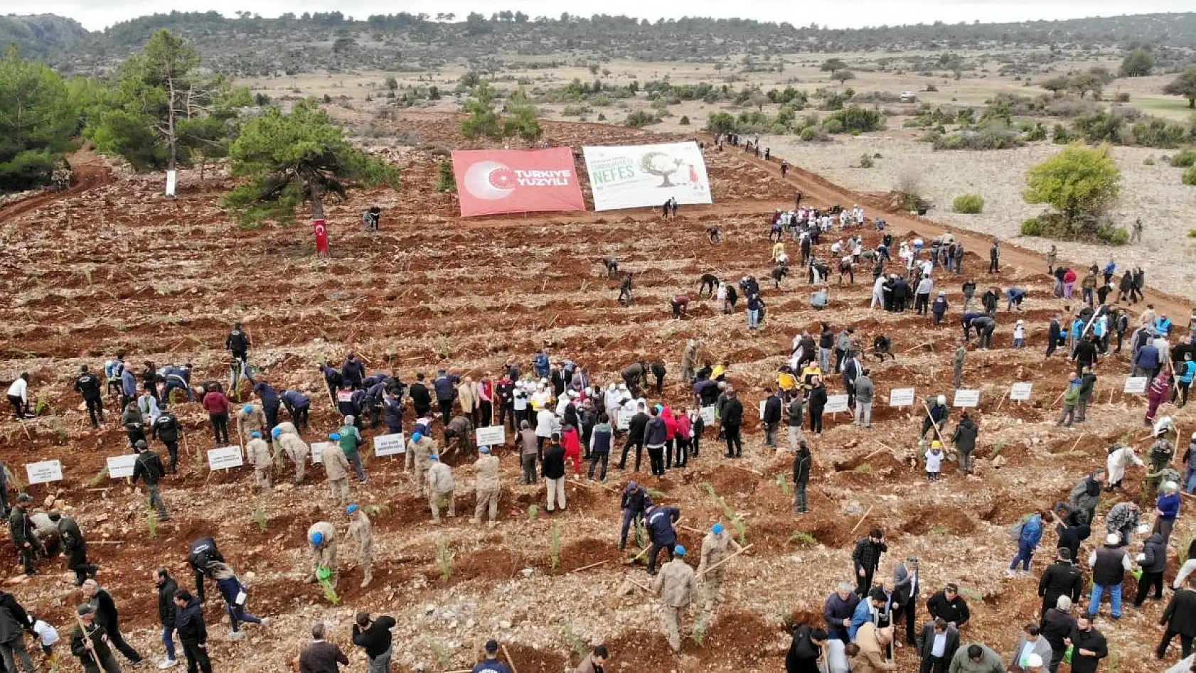 62 bin 236 fidan dikildi