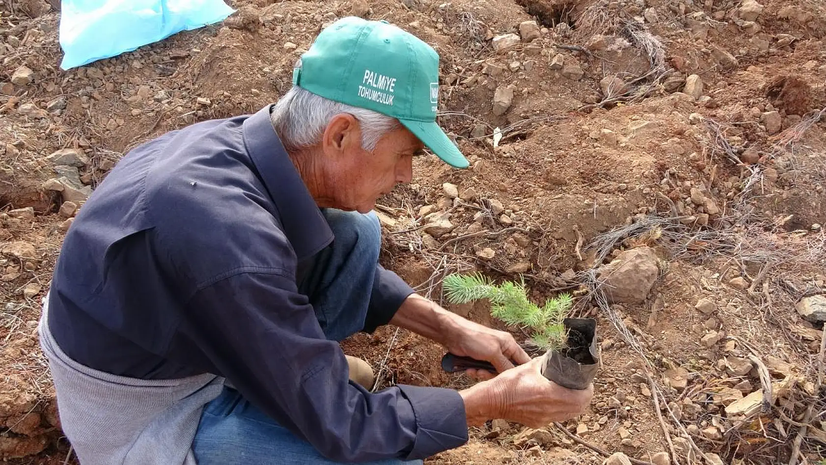 Geleceğe nefes için fidanlar toprakla buluştu
