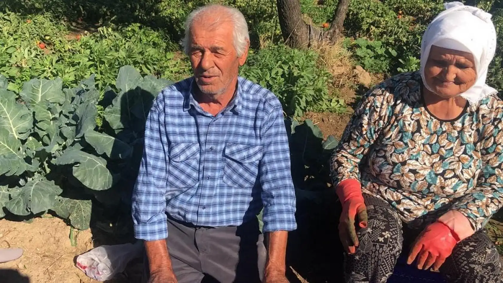 Üretici İlhan: 'Düşen fiyatlar masrafımızı anca karşılıyor'