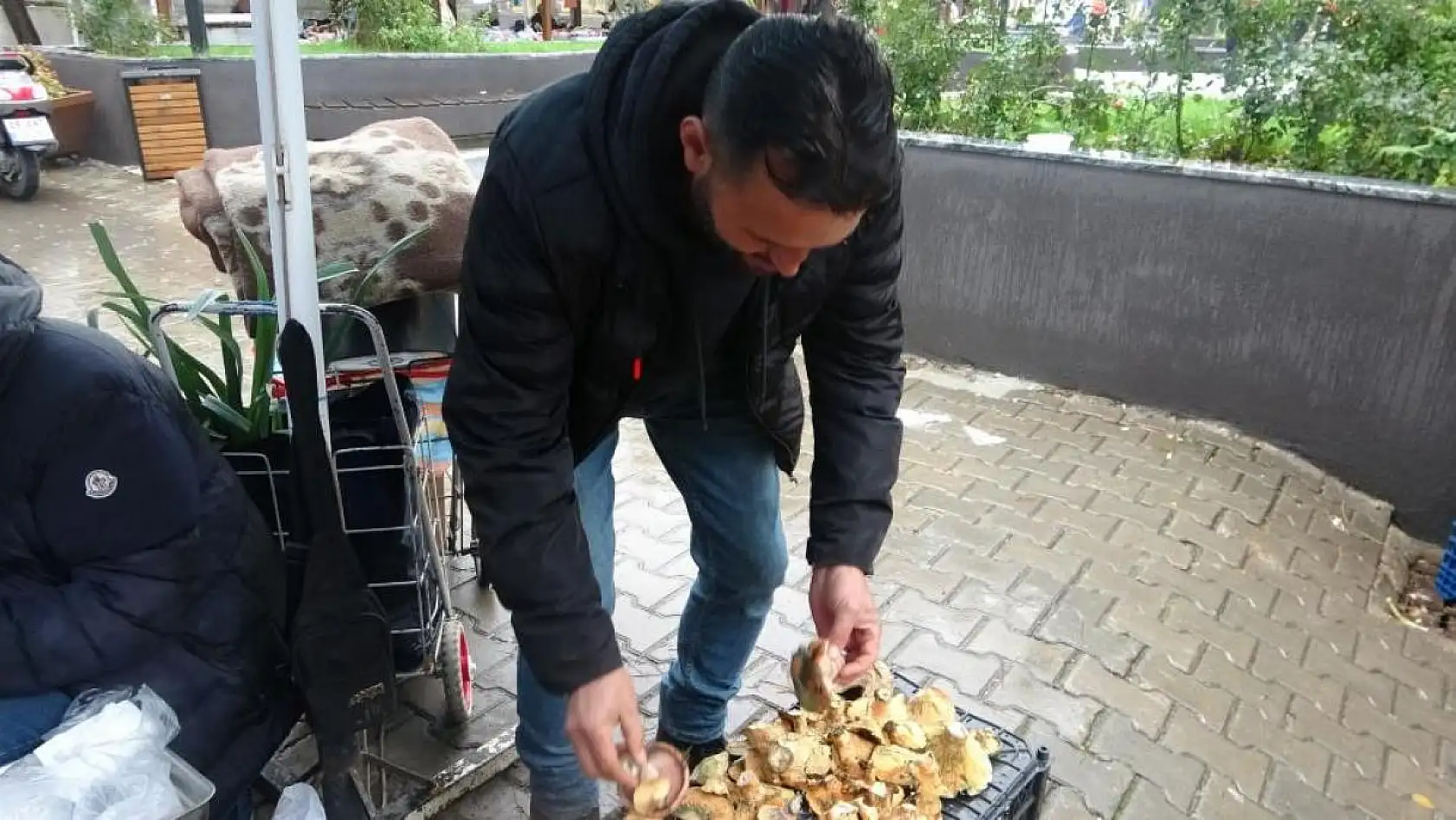 Çıntar'ın fiyatı görenleri şaşırttı!