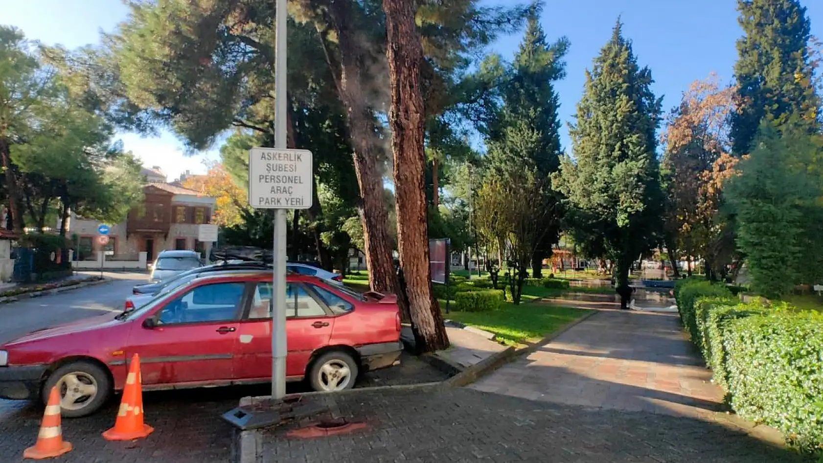 Yağmur yağdı, ağaçtan buhar çıktı