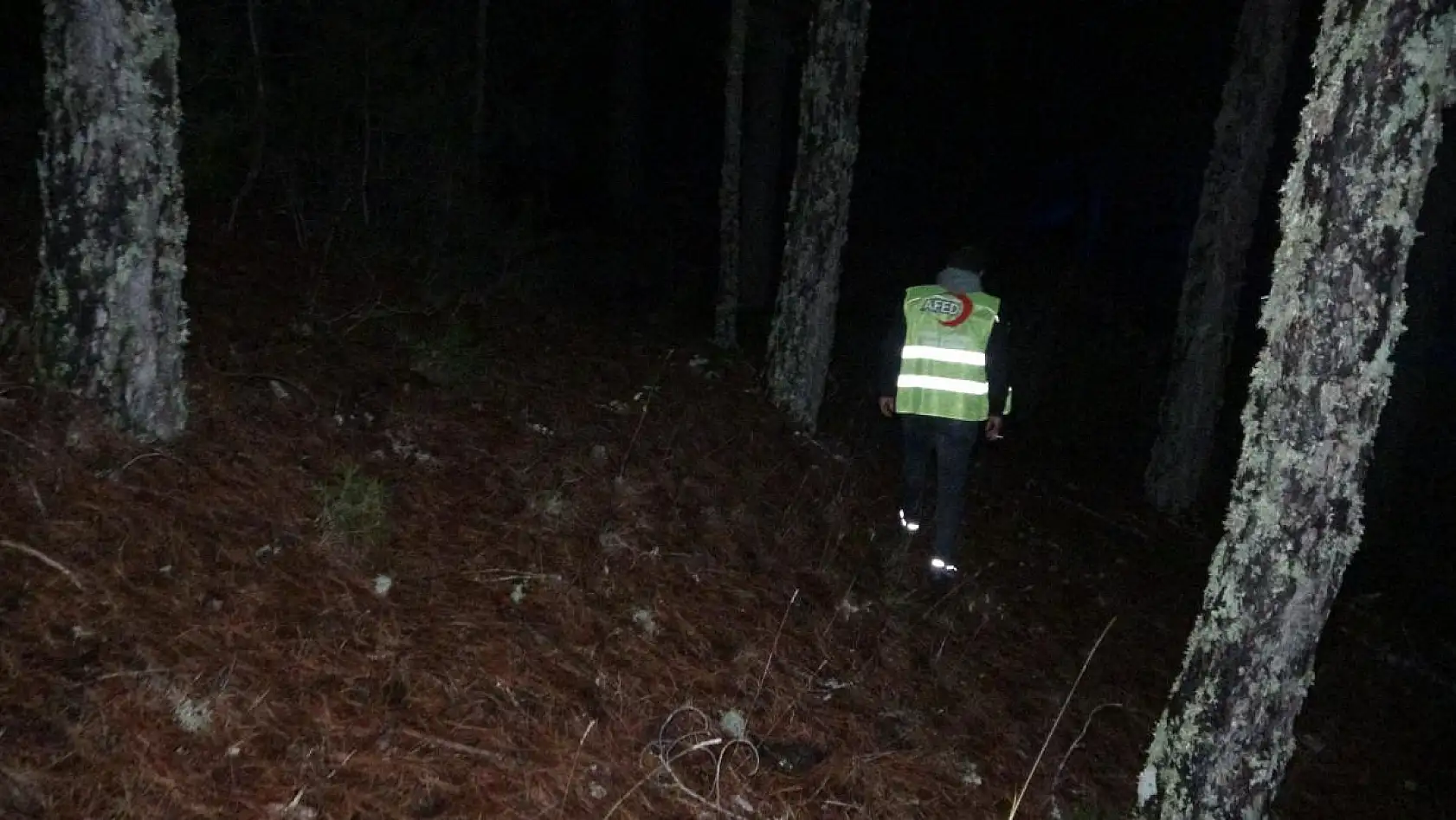 Çıntar mantarı toplamaya giden yaşlı kadın dağda kayboldu