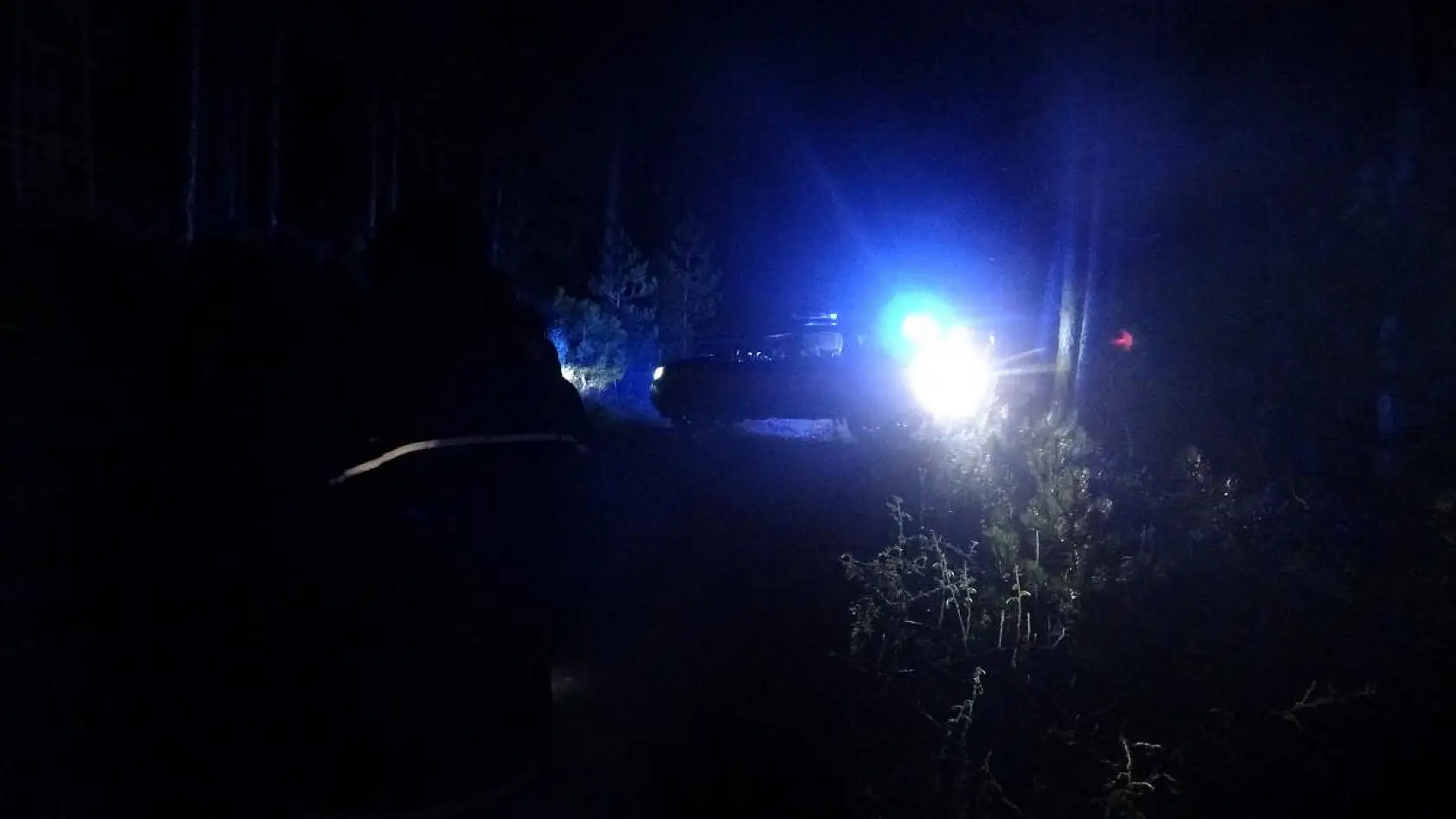 Çıntar mantarı toplamaya giden yaşlı kadın dağda kayboldu