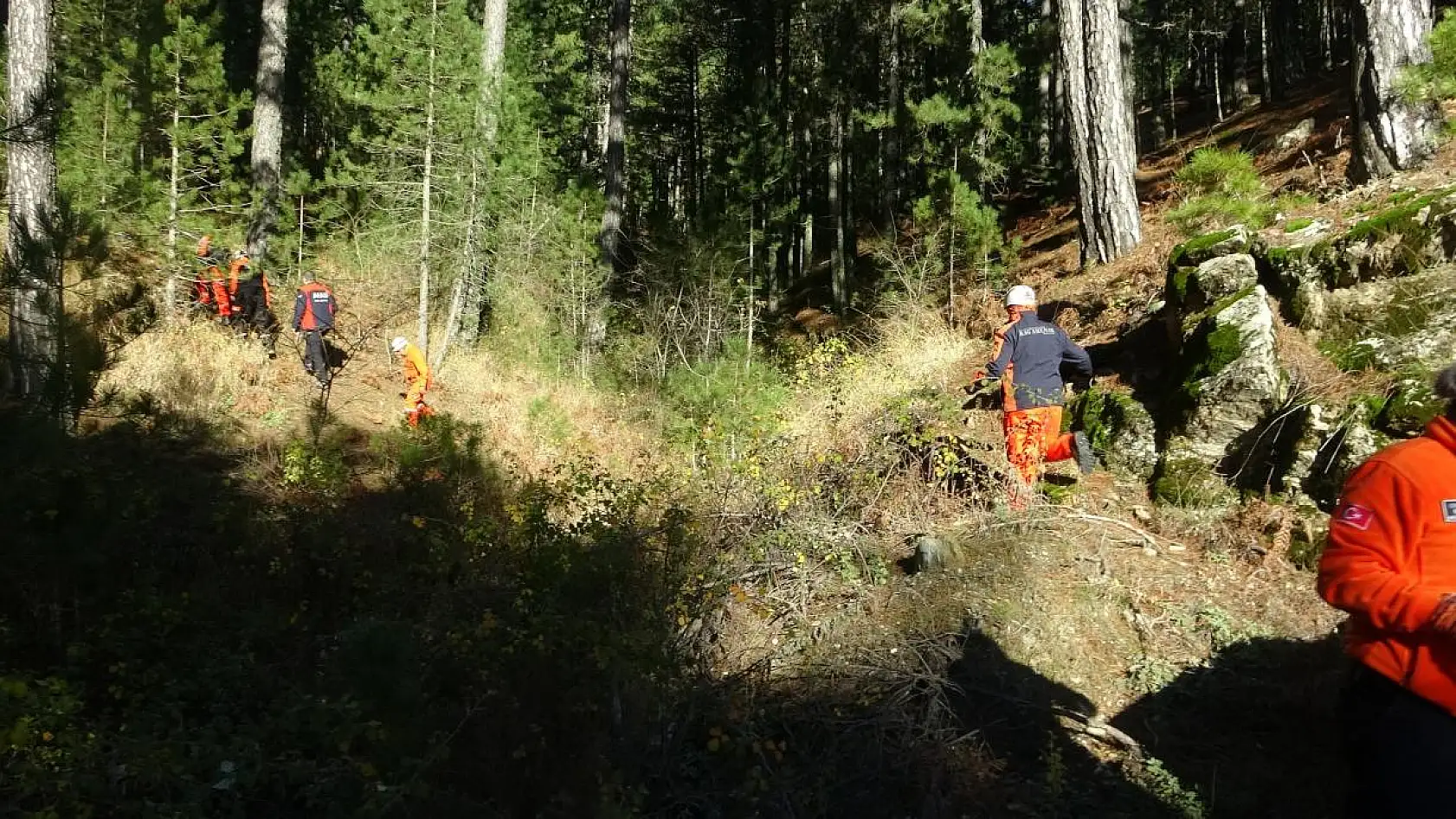 Mantar Toplarken Kaybolan Yaşlı Kadın Her Yerde Aranıyor