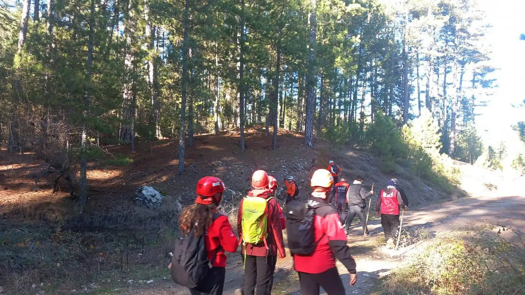 Mantar Toplarken Kaybolan Yaşlı Kadın Her Yerde Aranıyor