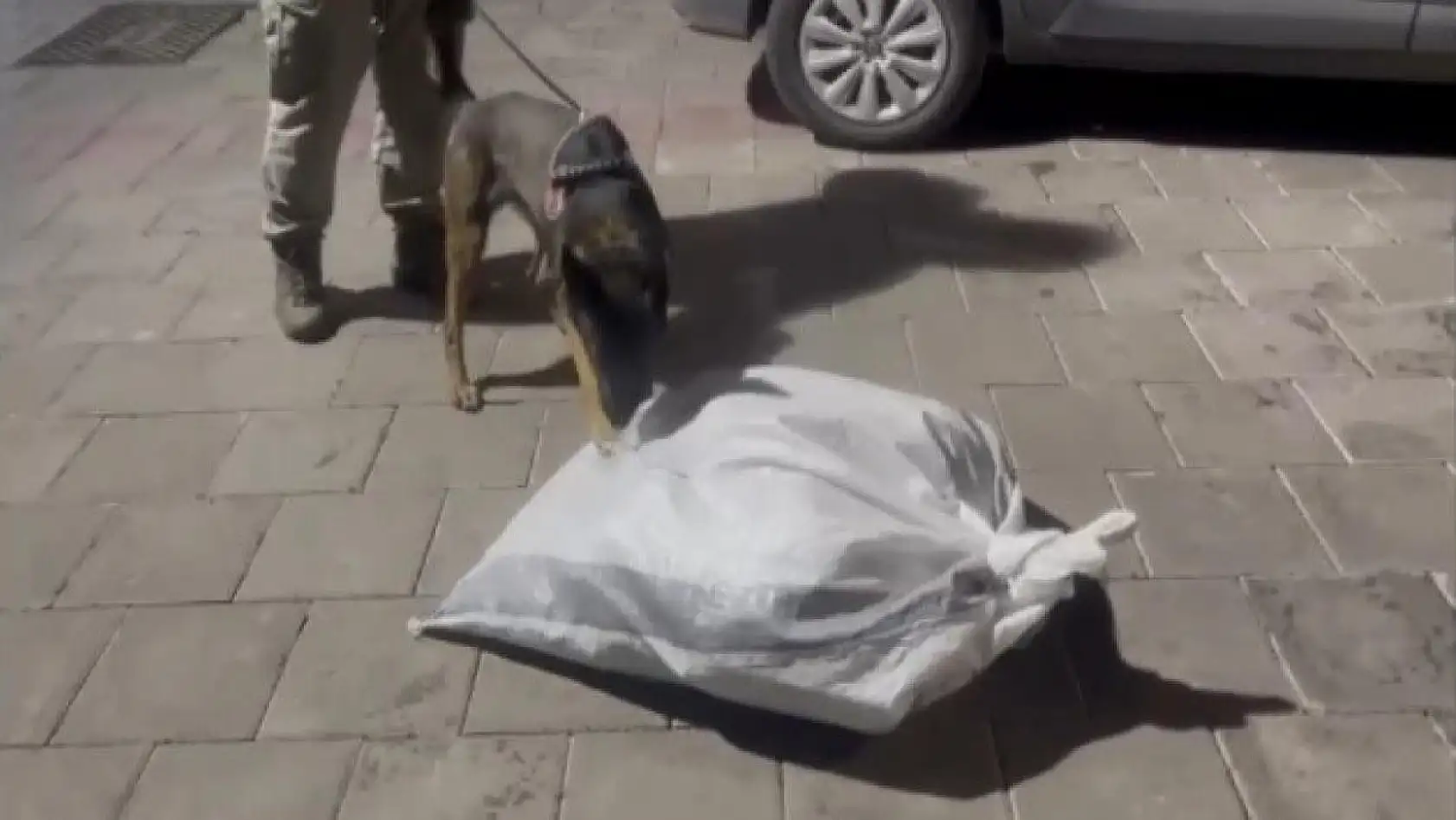 Zehir tacirlerine 5 ilçede dev operasyon