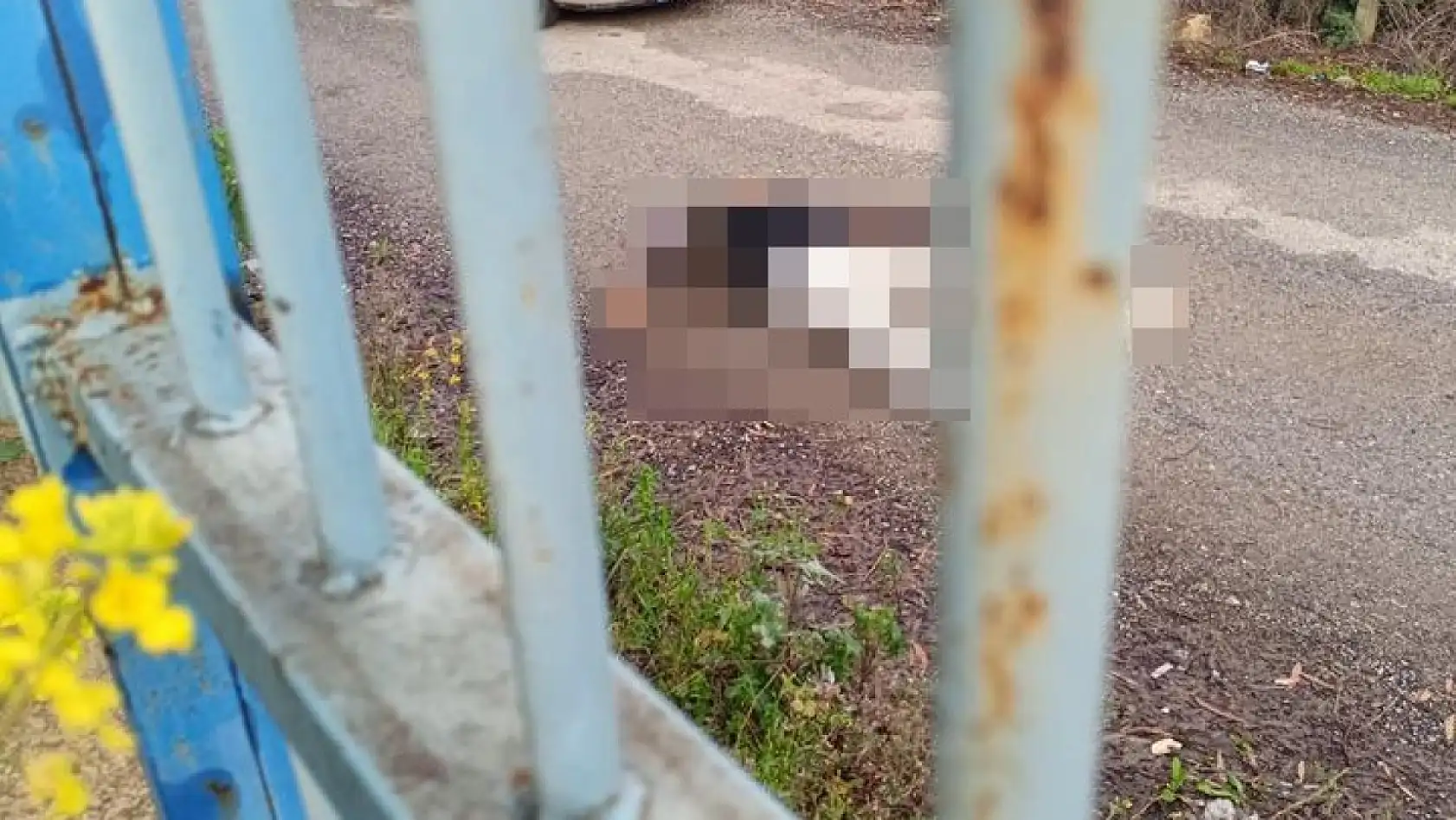 Eski eşini öldüren polis intihar etti