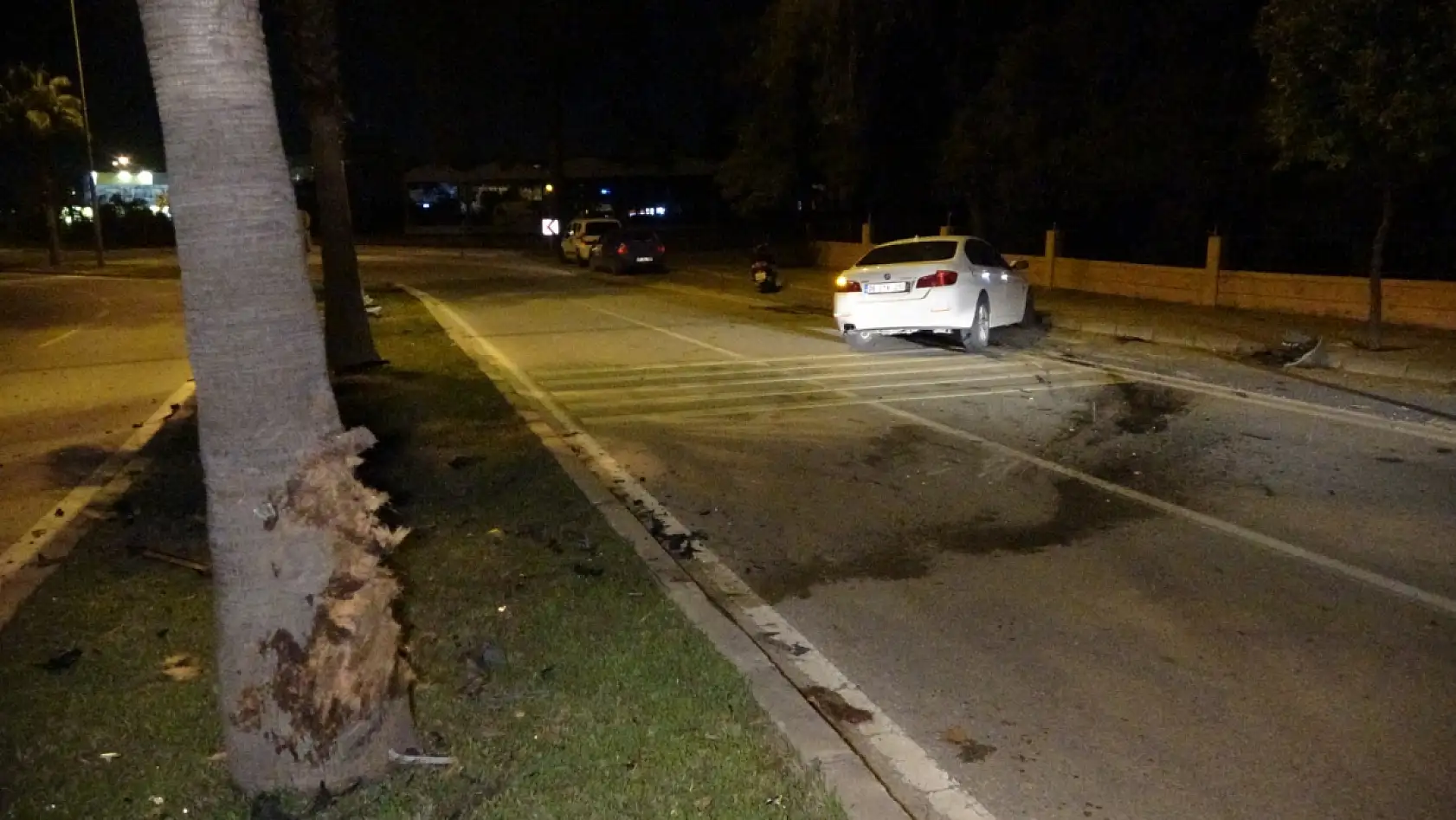 Palmiyeye çarpan lüks otomobil hurdaya döndü sürücüsü yaralandı