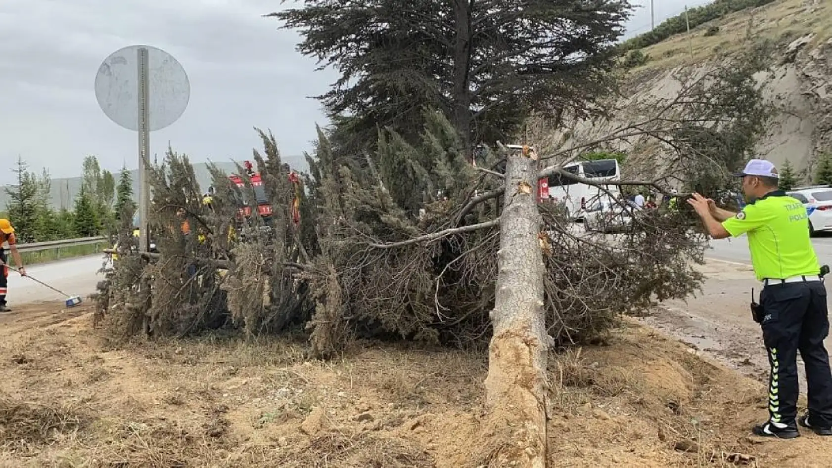 Kontrolden çıkan yolcu otobüsü ağaca çarptı: İlk belirlemelere göre 11 yaralı var