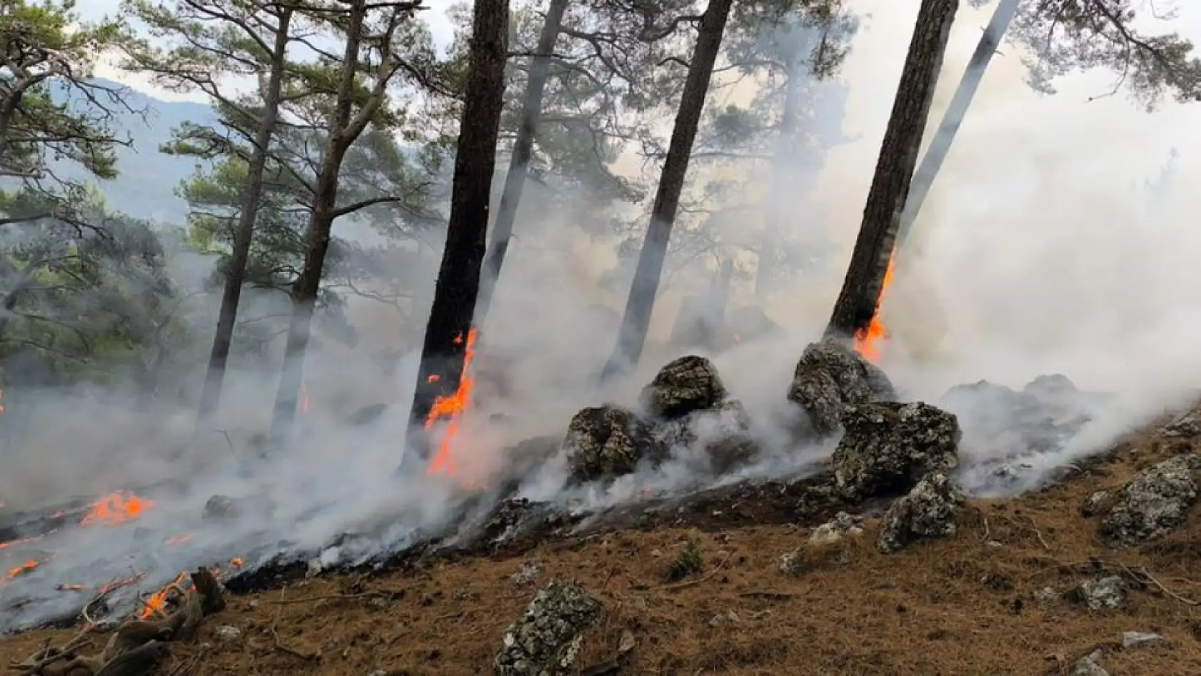 Cehennem Deresi yanıyordu, orman ve itfaiyeciler kurtardı