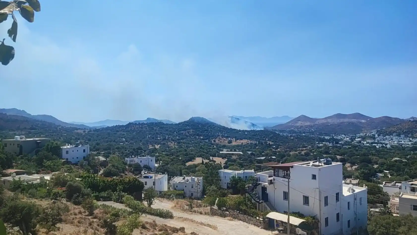 Bodrum'da makilik alanda yangın