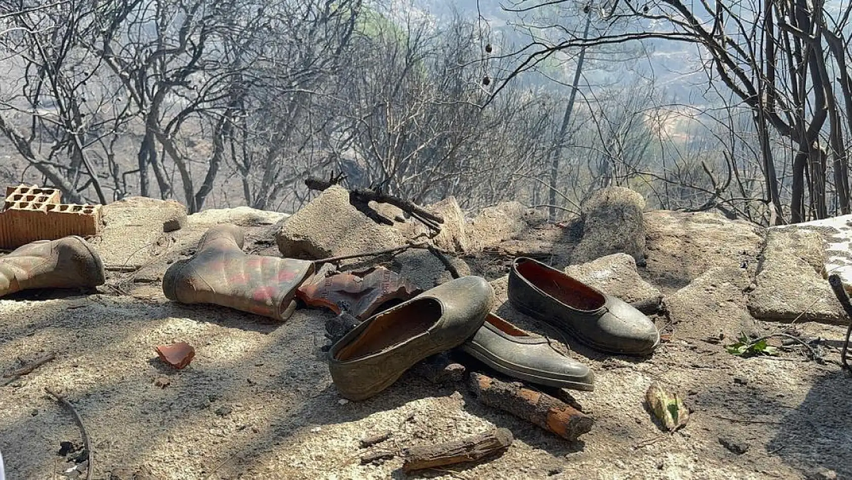 Aydın'dan Muğla'ya Sıçrayan Yangın Felaketi: Evler Küle Döndü