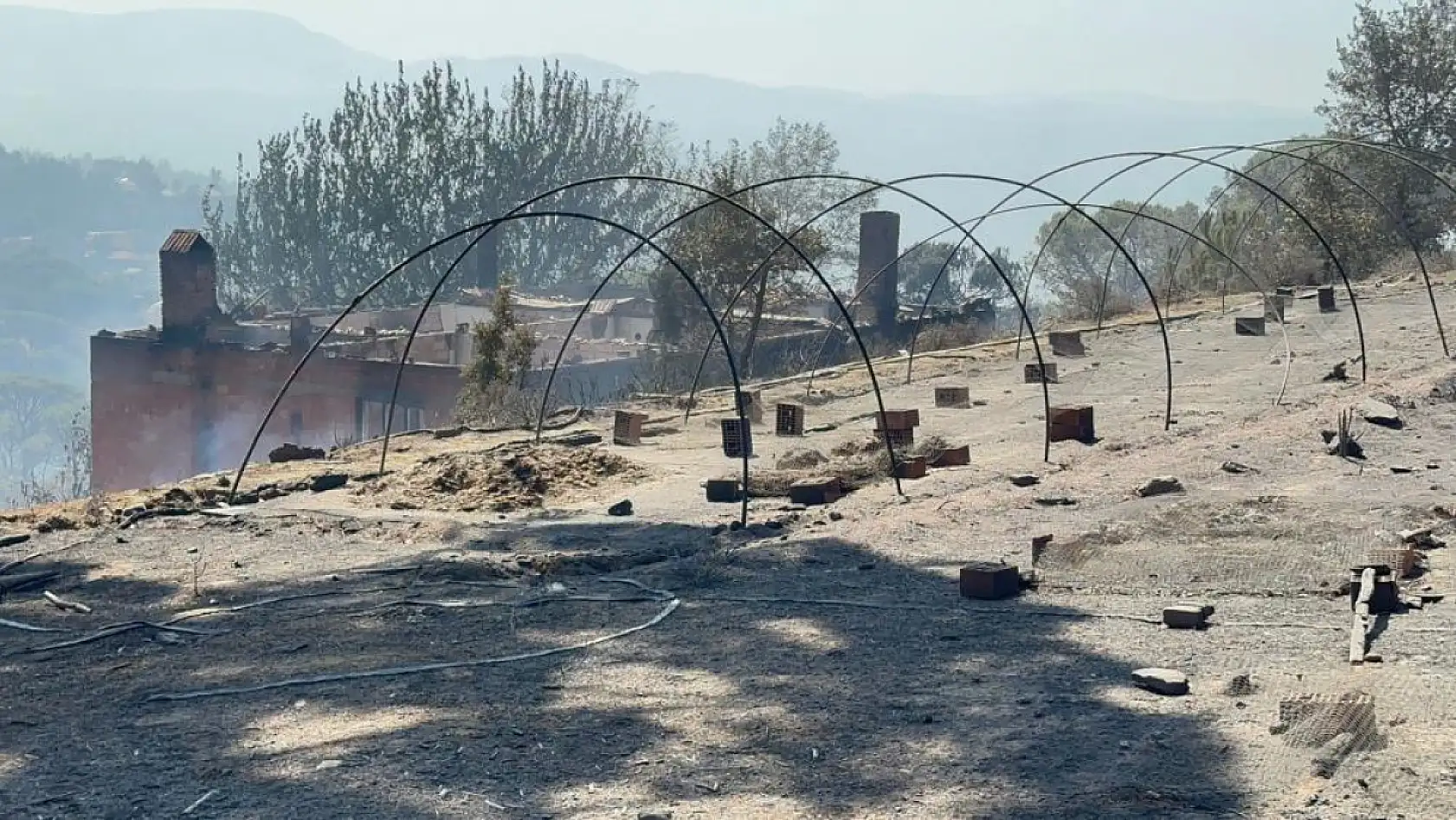 Aydın'dan Muğla'ya Sıçrayan Yangın Felaketi: Evler Küle Döndü