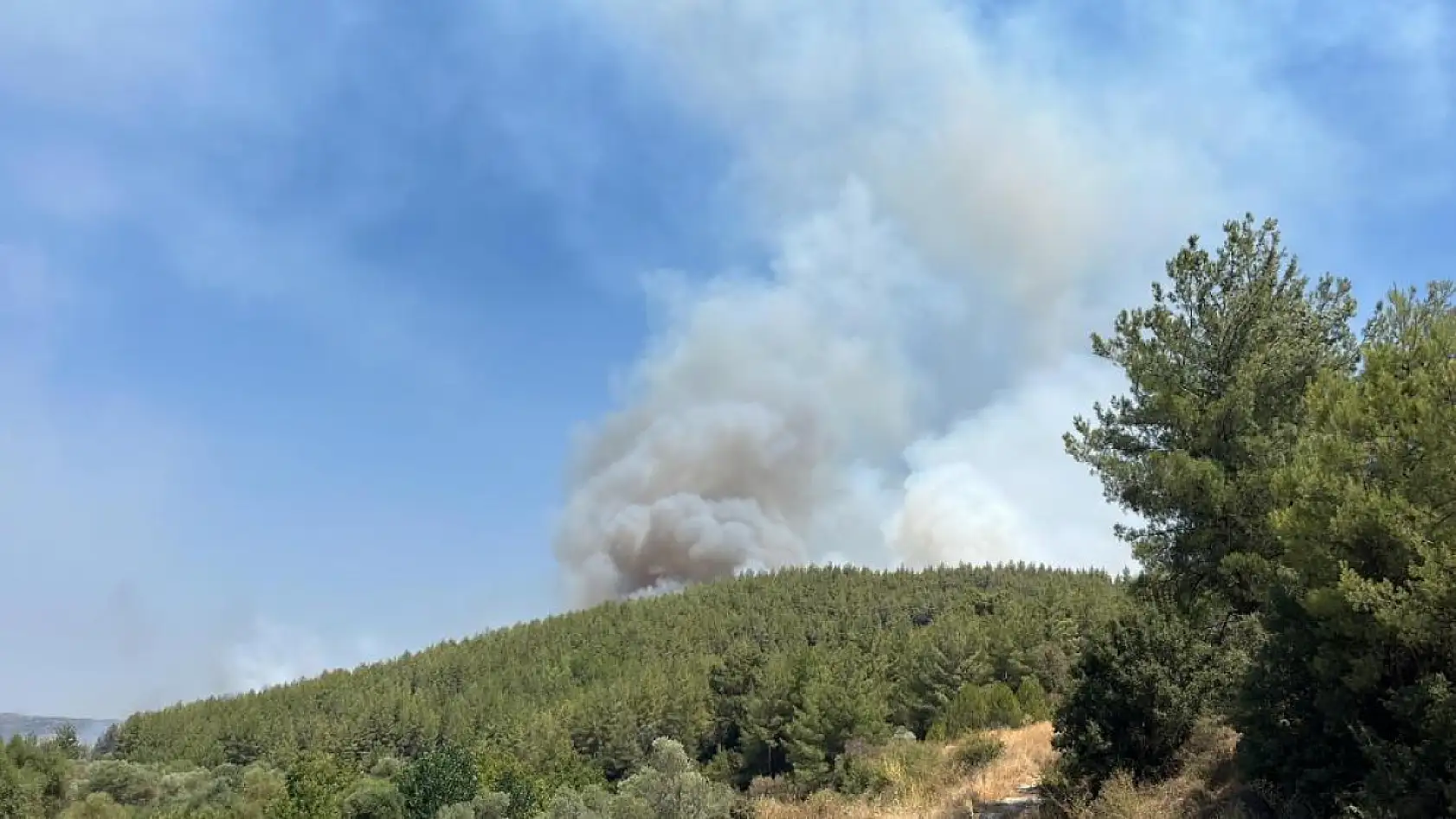 Yatağan'daki orman yangını dolayısıyla 3 köy için boşaltma kararı alındı