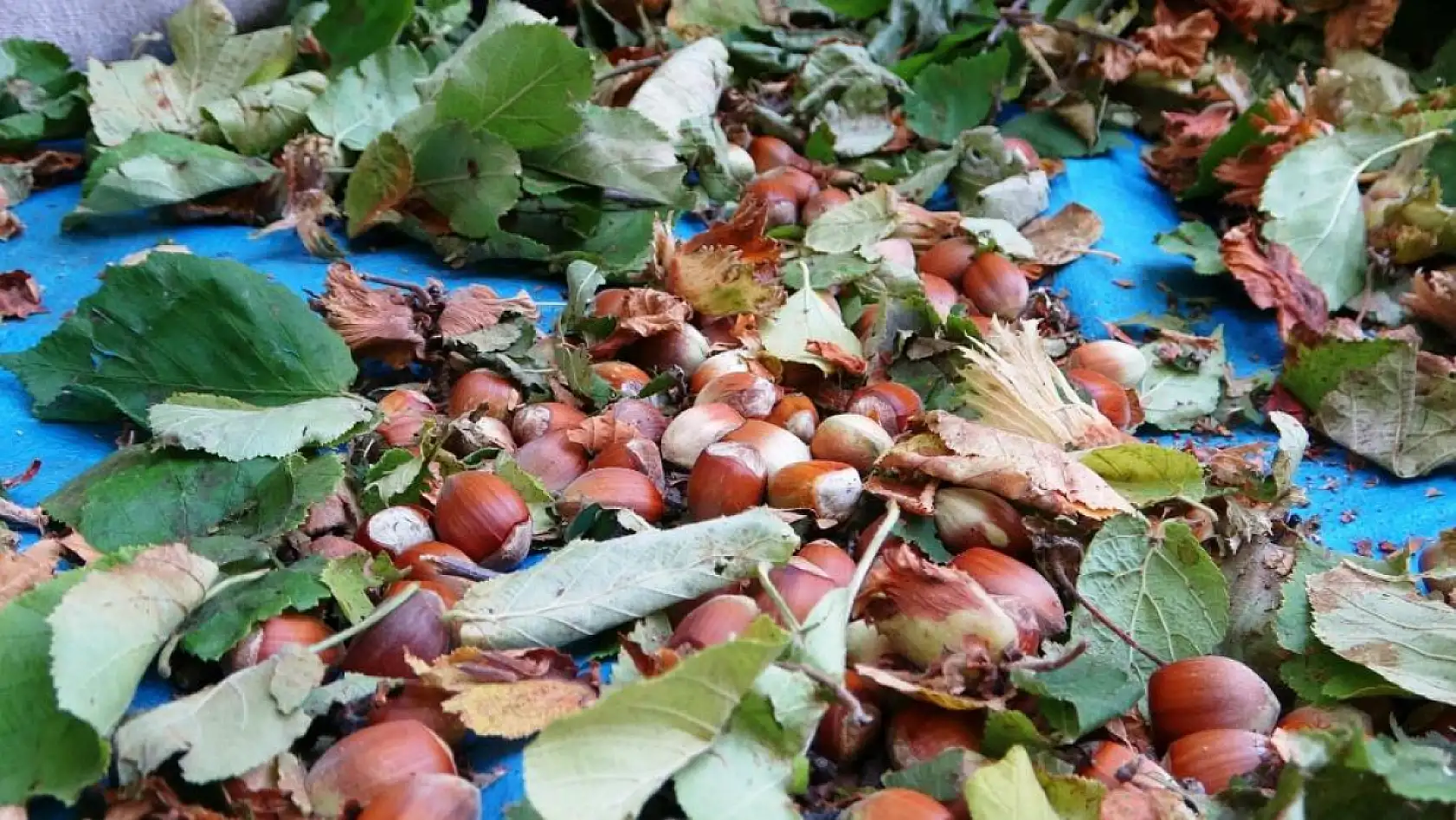 'Olmaz' denildi: Elde ettikleri geliri duyan inanamadı!