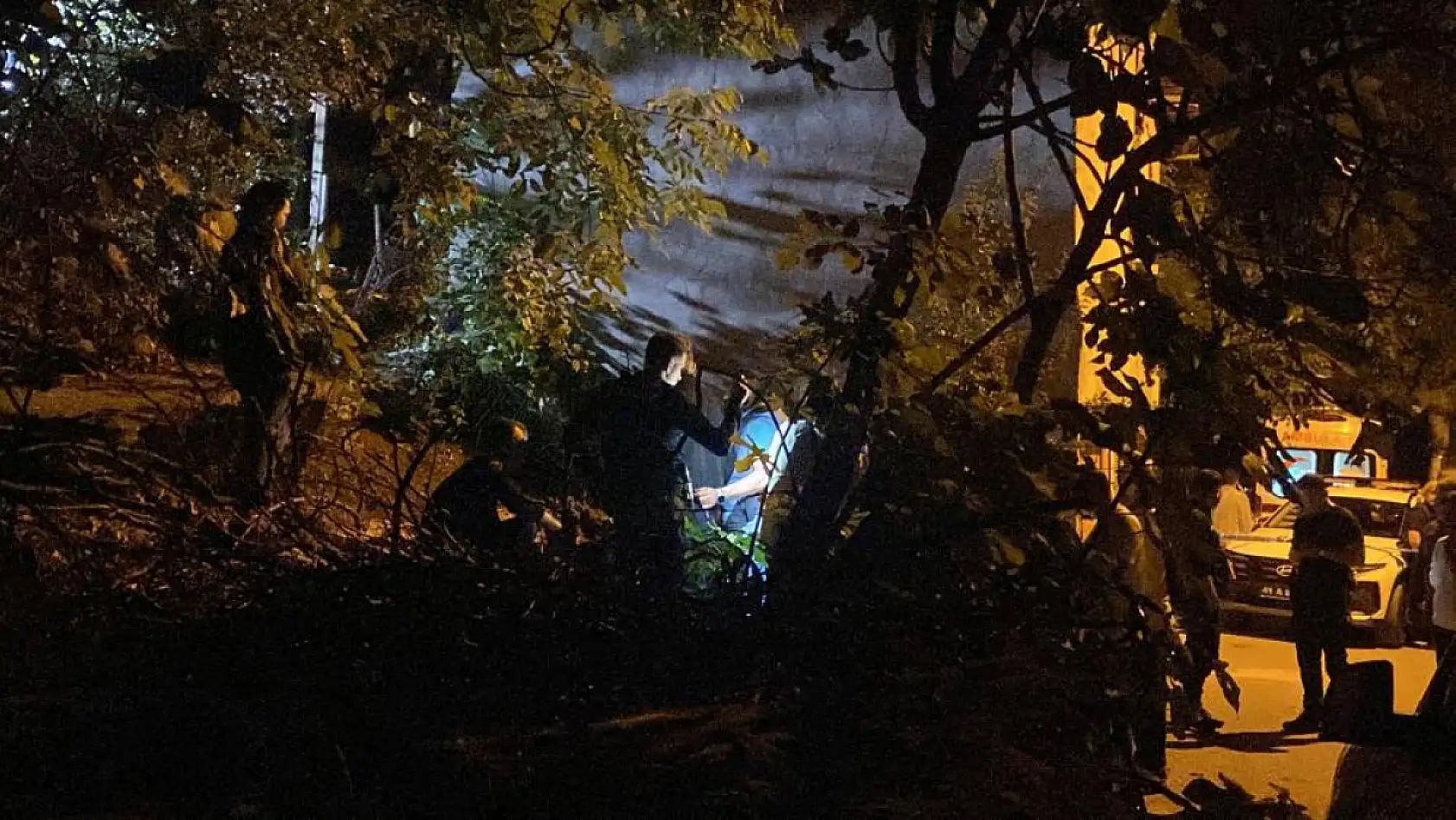 Binanın bahçesinde oğlu tarafından ölü bulundu