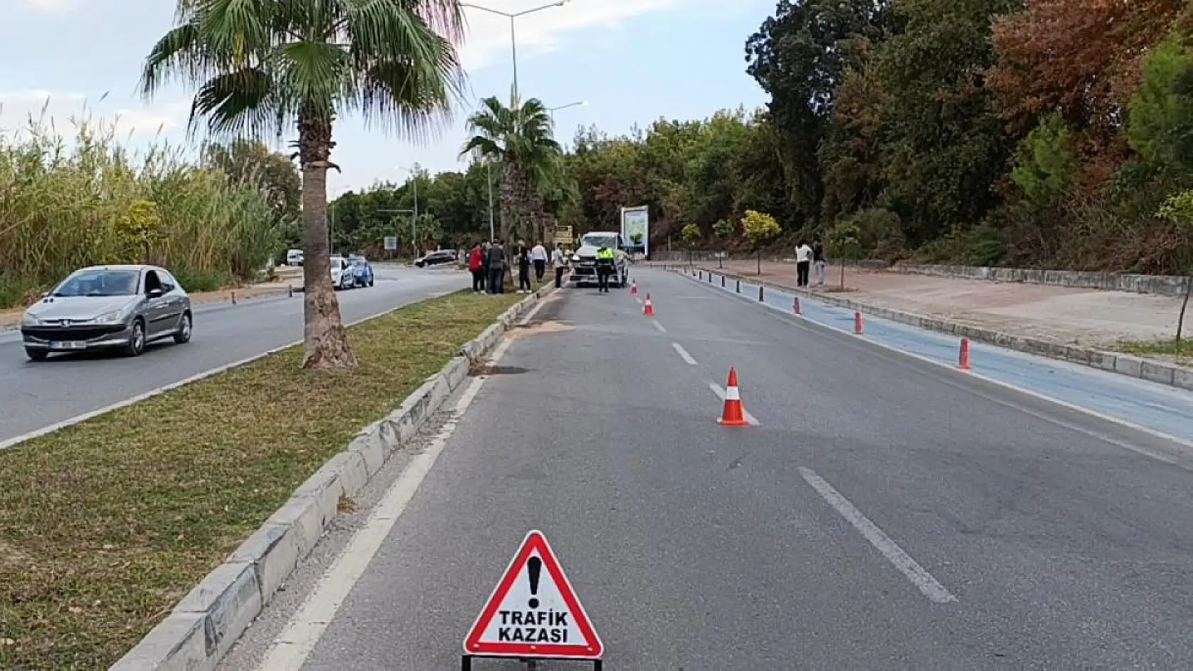 Kontrolden çıkan otomobil palmiyeye çarptı:1 yaralı