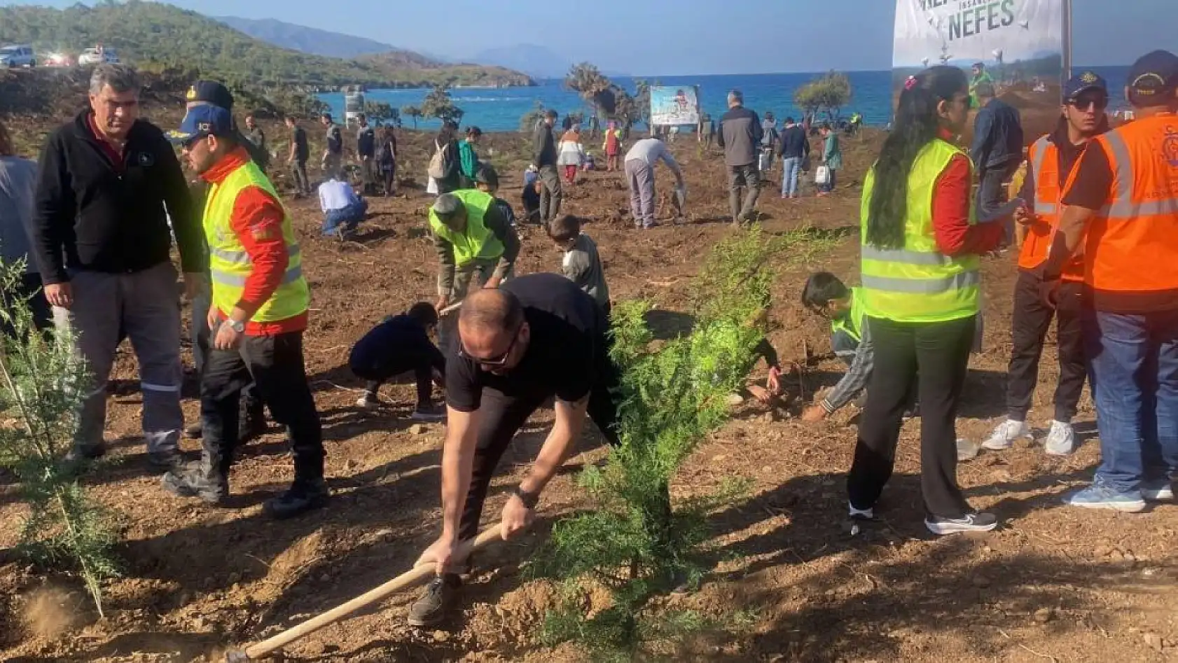 Marmaris'te 11 bin fidan toprakla buluştu