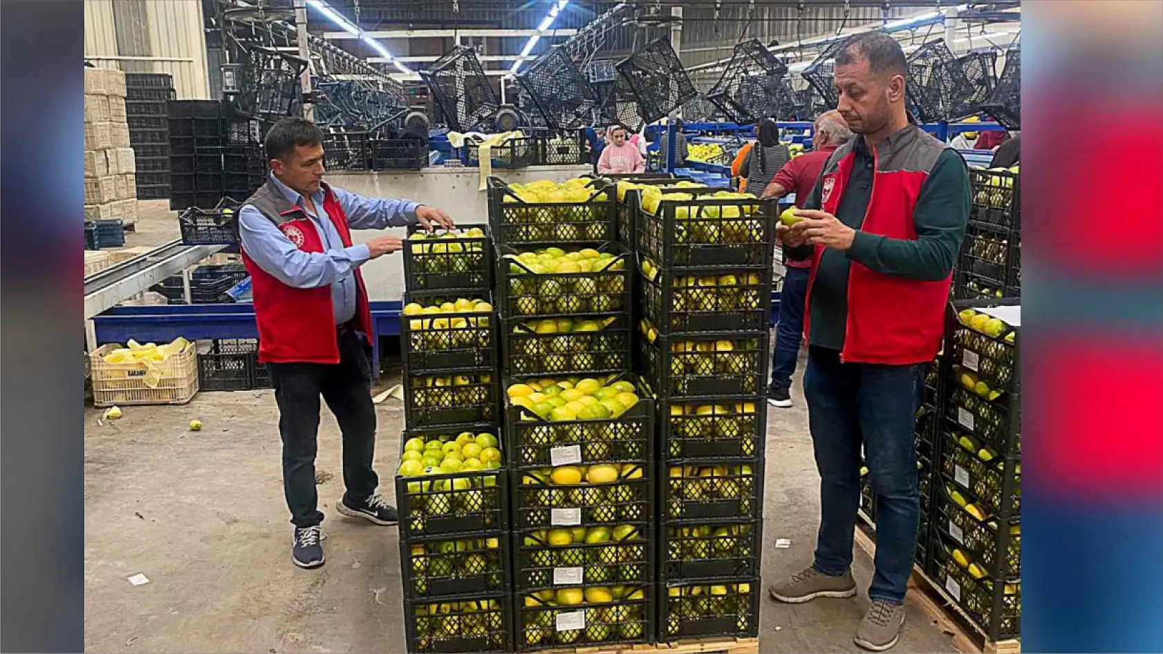 Ortaca'da üretilen ürünler tüm dünyaya ihraç oluyor