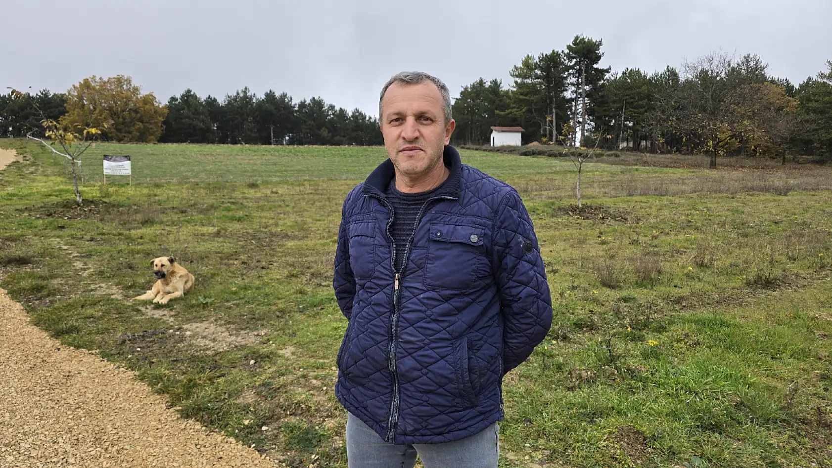 Hasadı sona eren safran 450 bin TL'den satılacak