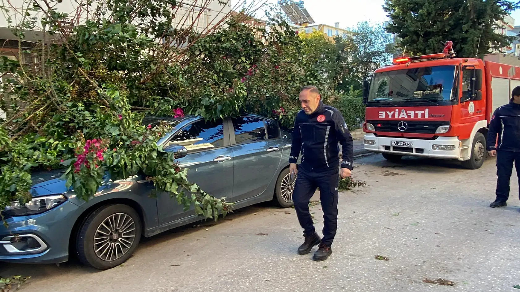 Fırtınaya dayanamayan ağaç park halindeki aracın üzerine devrildi