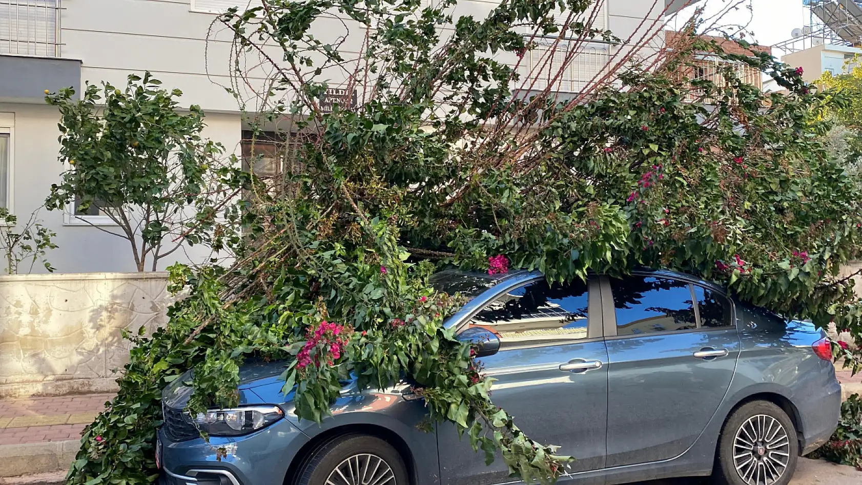 Fırtınaya dayanamayan ağaç park halindeki aracın üzerine devrildi