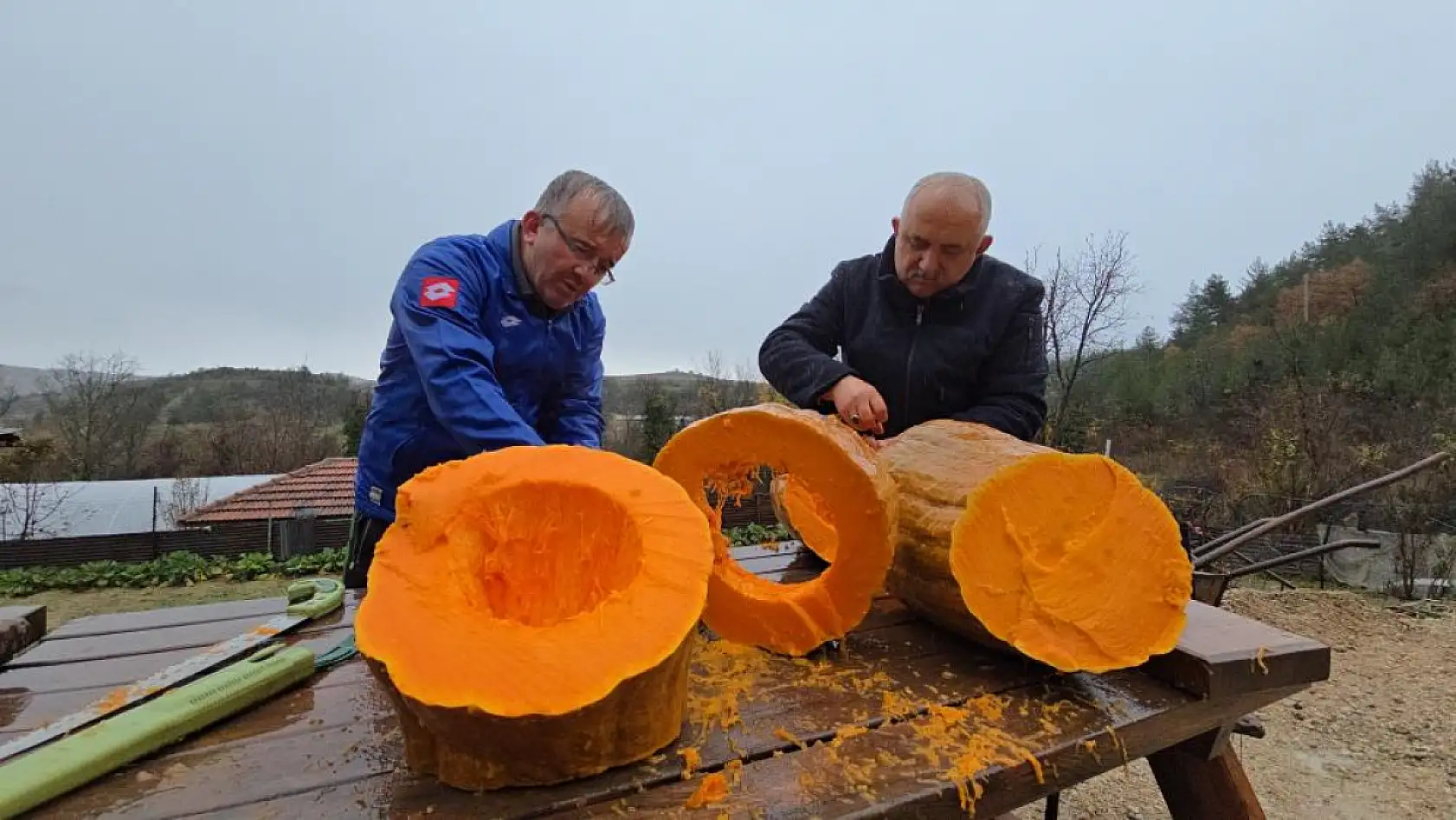 Bahçesinde yetişen 40 kiloluk dev kabağı motorlu testereyle kesebildi
