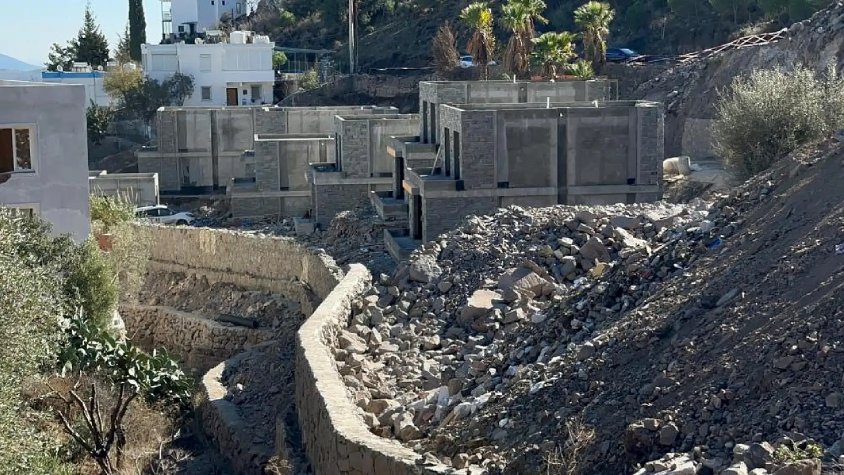 Ünlü sanatçı Suavi'ye Bodrum'da ağaç katliamı cezası