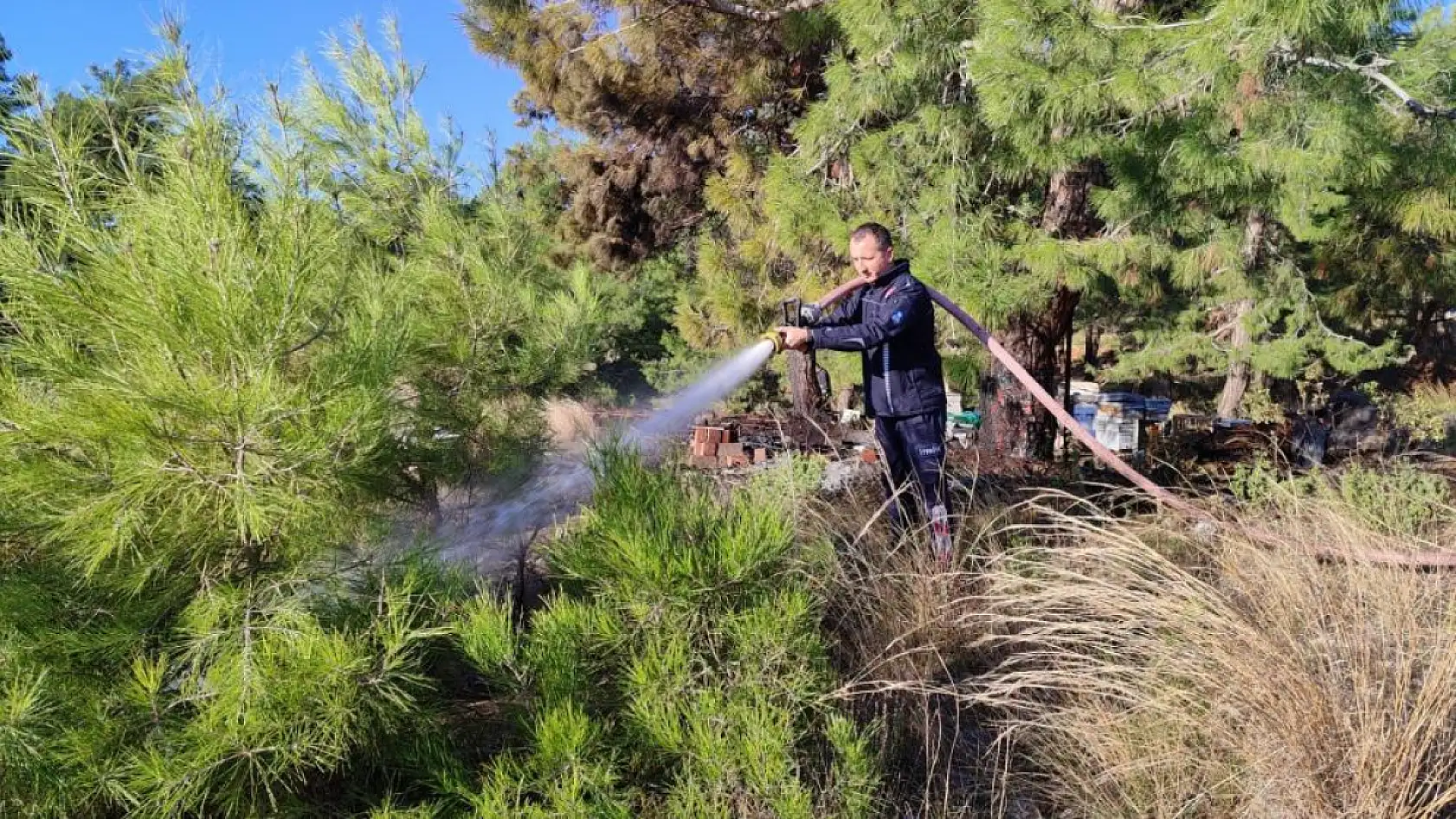 Mezarlıkta yangın çıktı, yanan 15 kovandaki arılar telef oldu