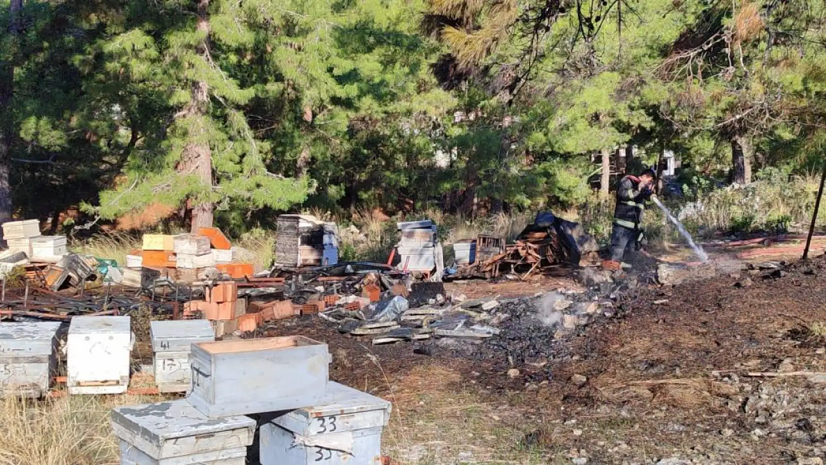Mezarlıkta yangın çıktı, yanan 15 kovandaki arılar telef oldu