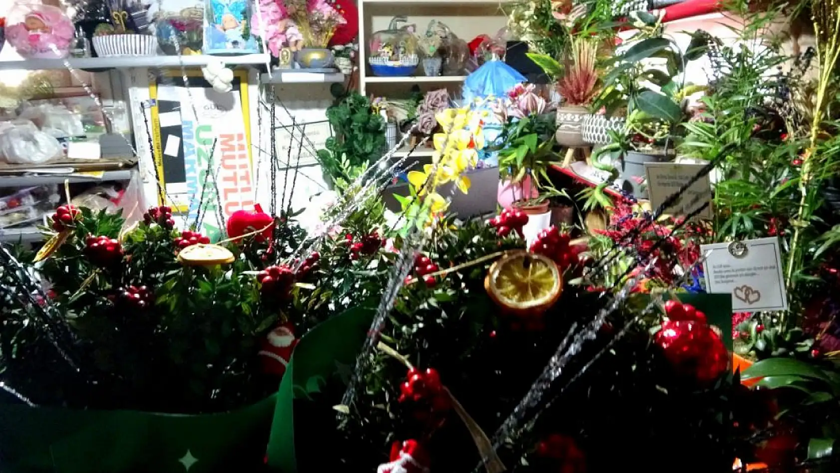 Yılbaşının yaklaşmasıyla kokina çiçeğine Muğla'da ilgi arttı