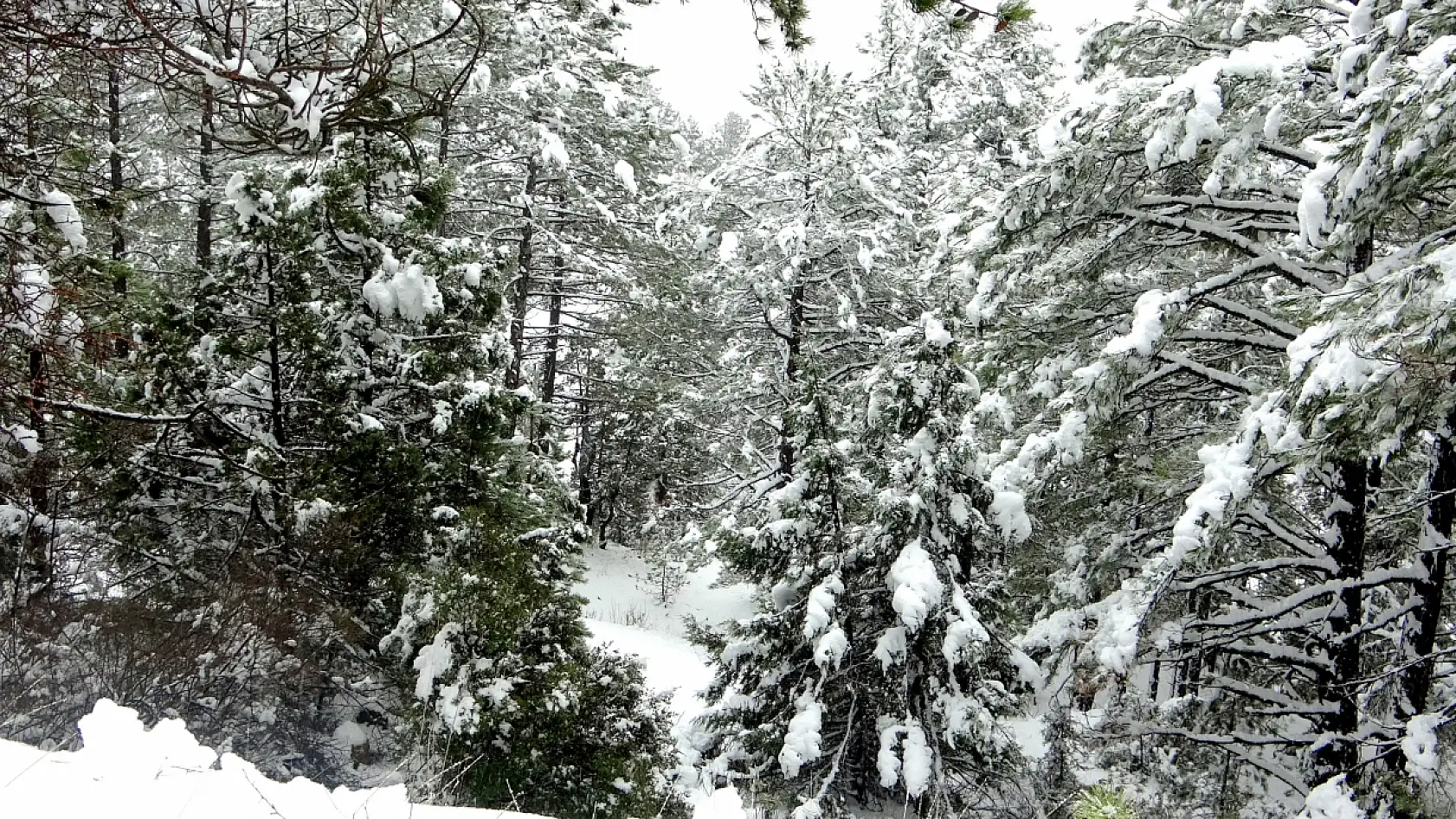 Muğla Yılanlı Dağı'nın kış manzarası mest etti