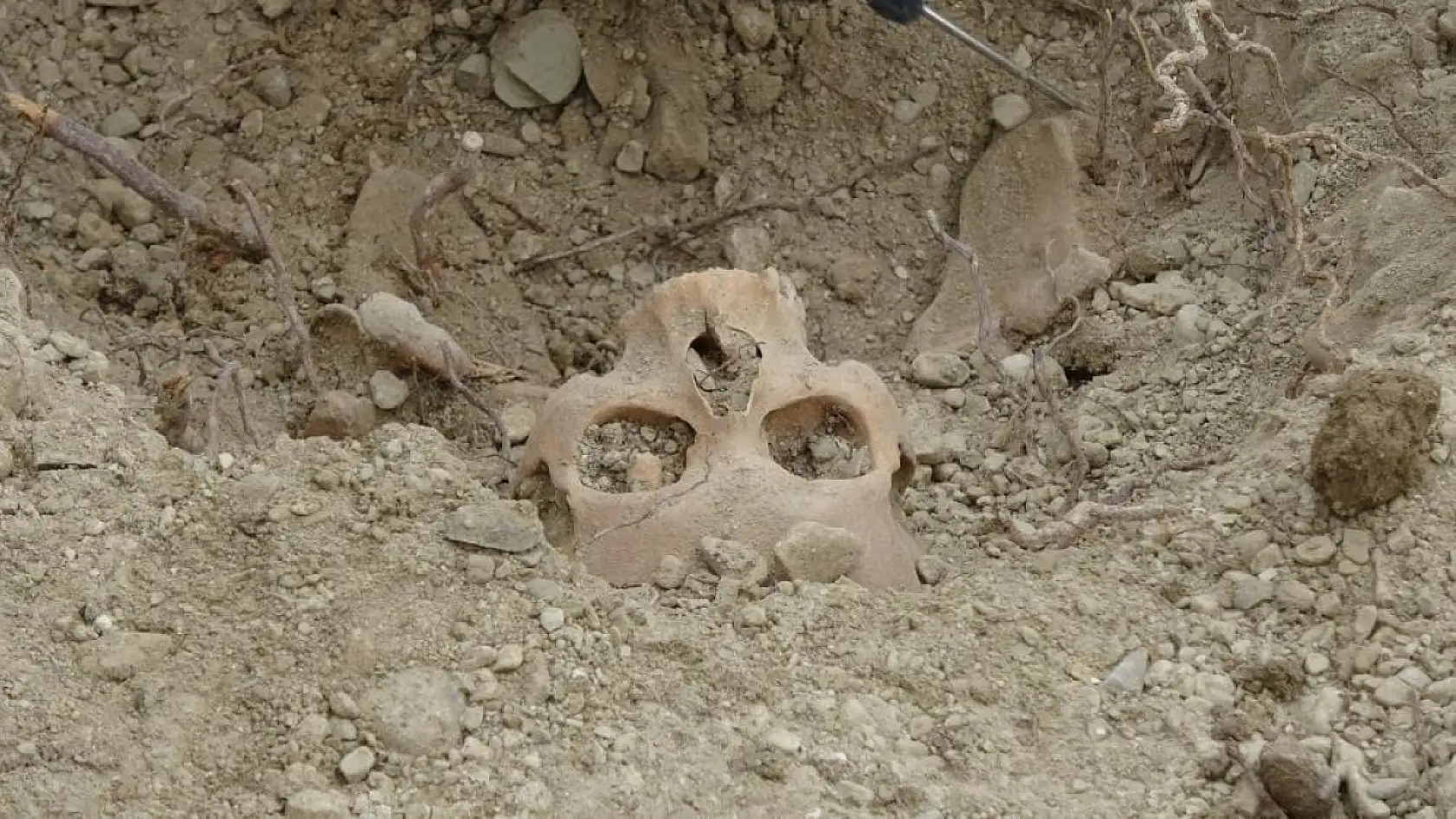 Öğretmenevi bahçesinden çıkan kemikler için antropologlar sahada çalışma başlattı