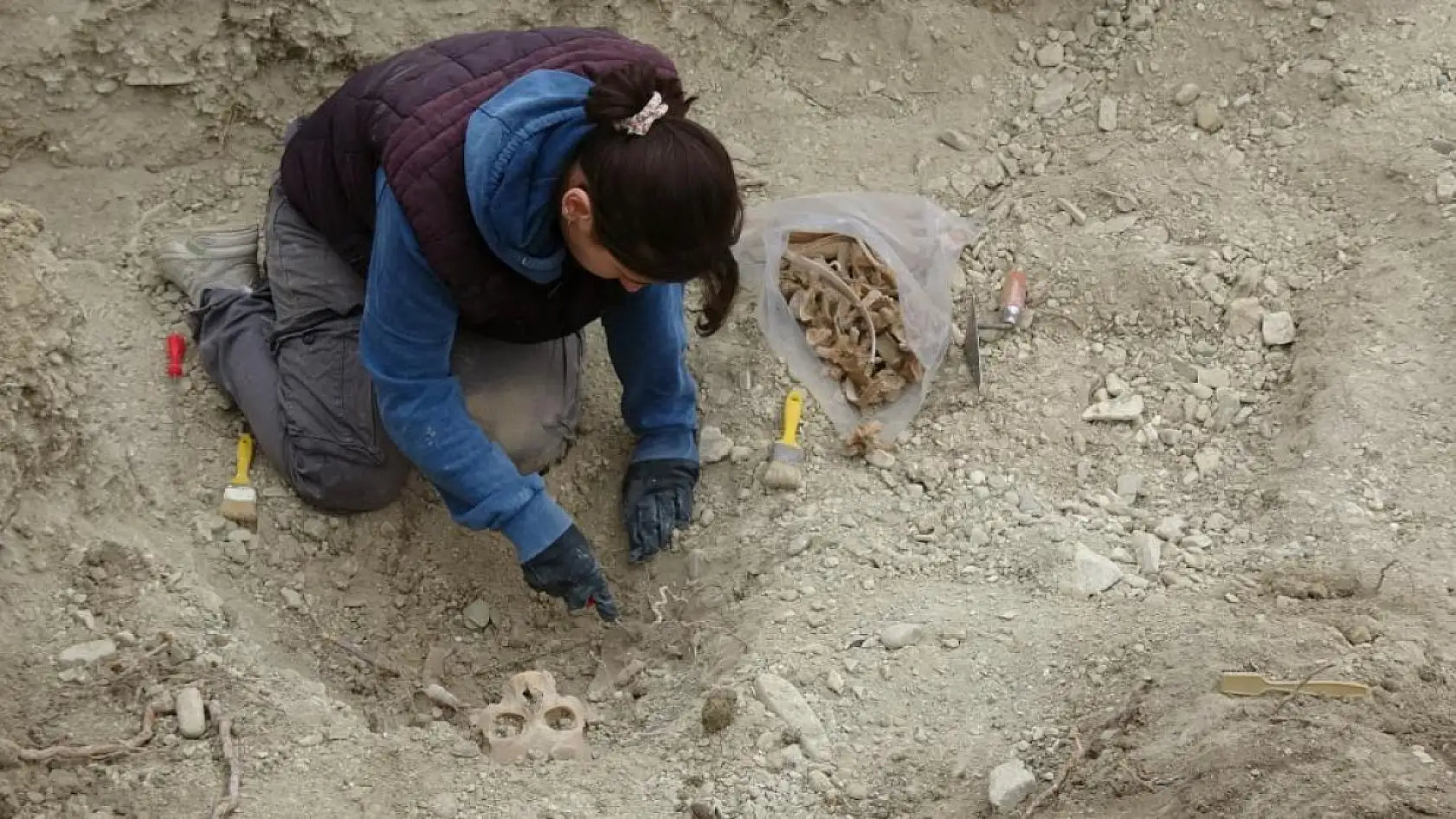 Öğretmenevi bahçesinden çıkan kemikler için antropologlar sahada çalışma başlattı