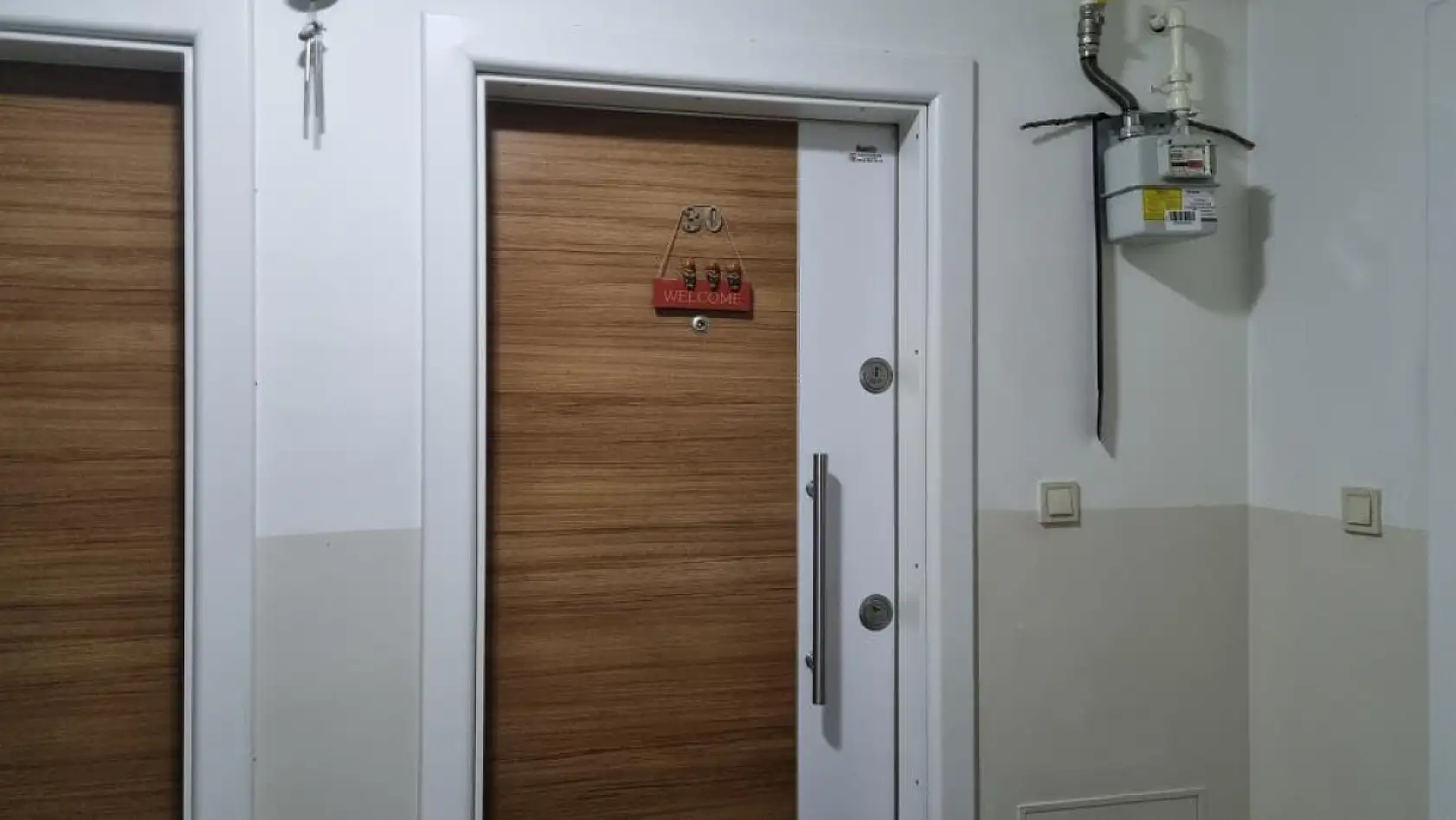 Çamaşır makinesini çalışır halde bırakıp evden çıkan gençler döndüklerinde şoke oldu