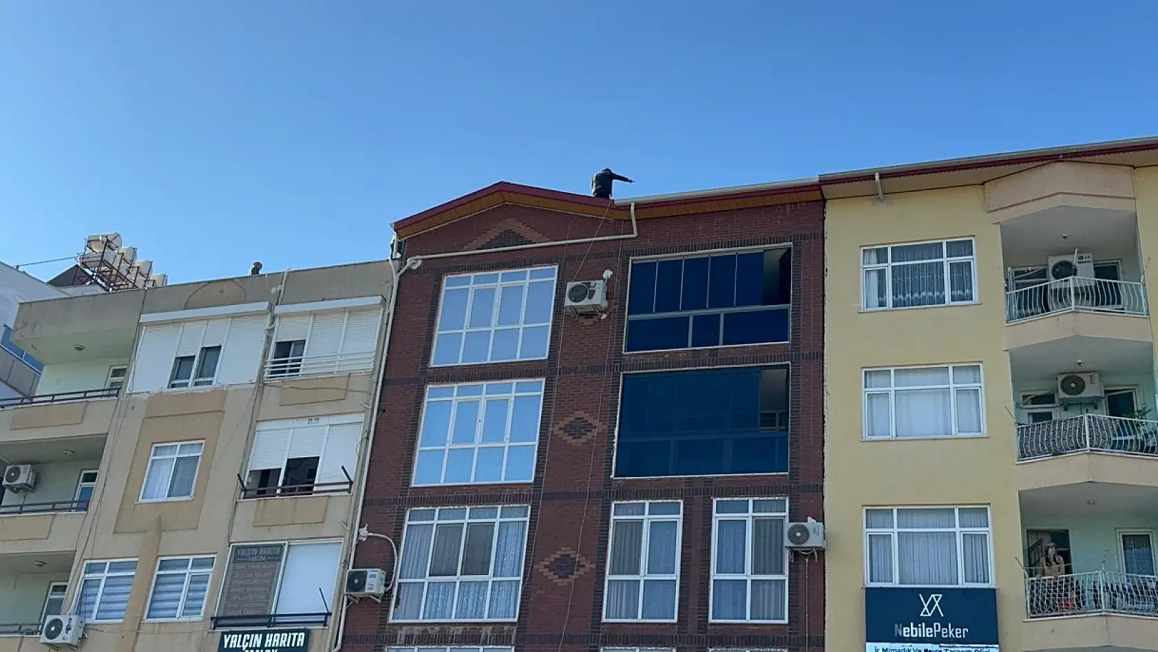 Dişlerini yaptıramadığı için çatıya çıktı, polisten söz alınca ikna olup polise sarıldı