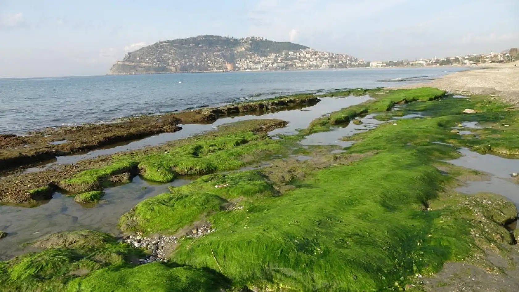 Alanya'da deniz 8 metre çekildi! Deprem habercisi mi