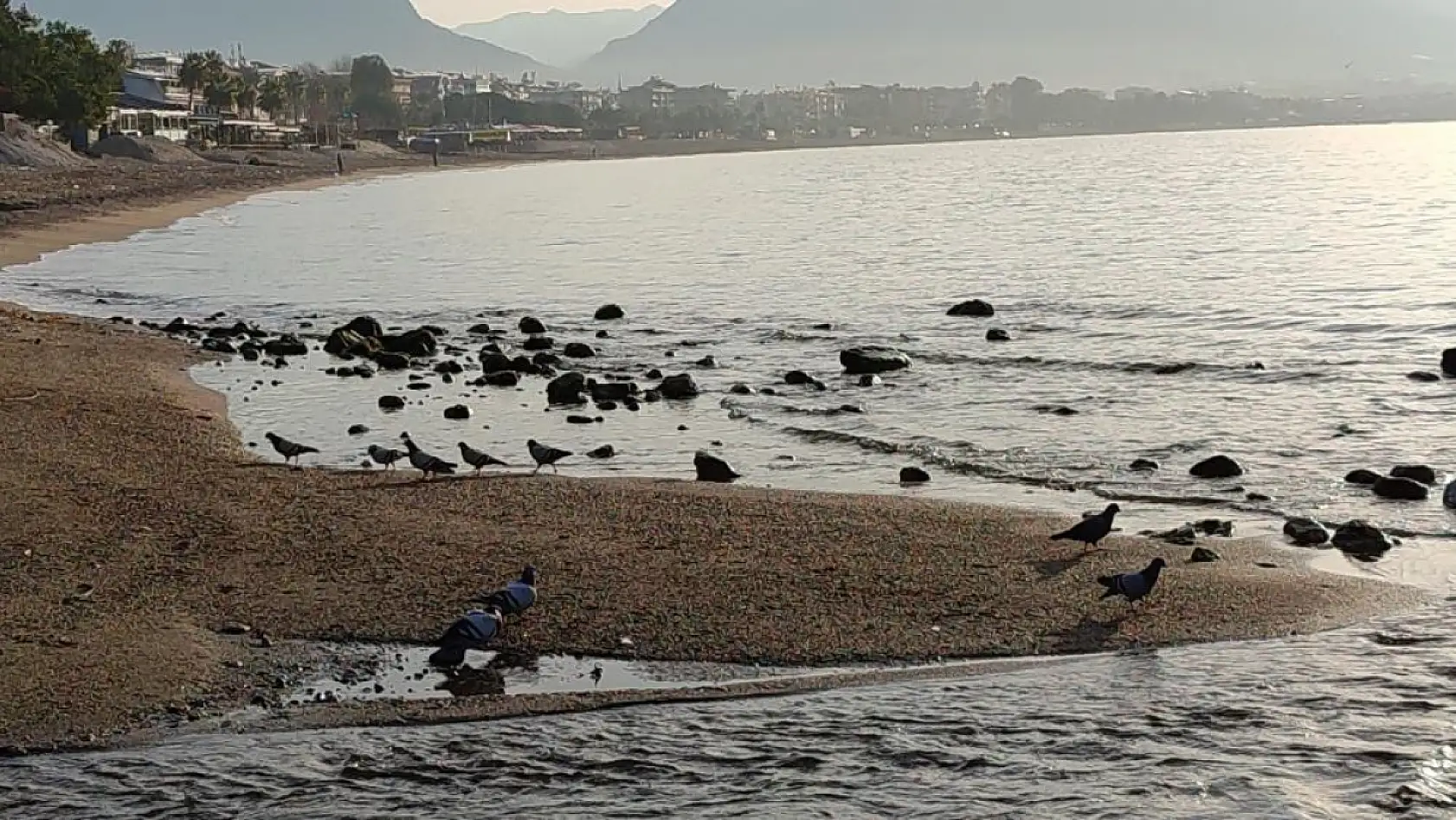 Alanya'da deniz 8 metre çekildi! Deprem habercisi mi