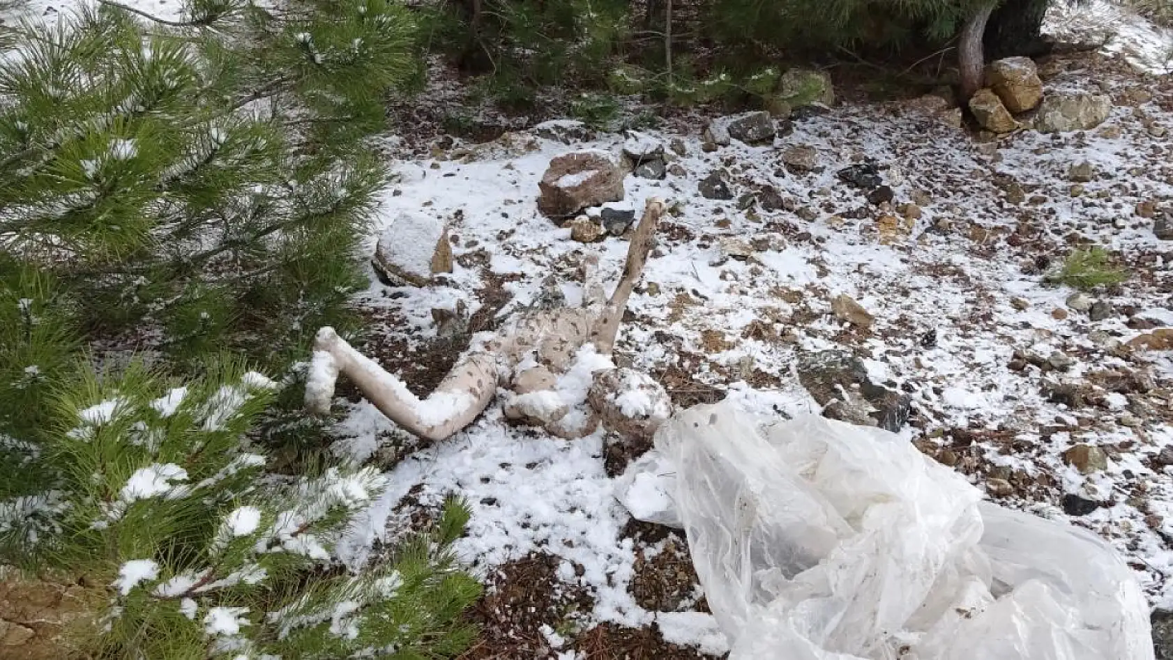 Ceset ihbarıyla olay yerine giden ekipler farklı bir manzarayla karşılaştı
