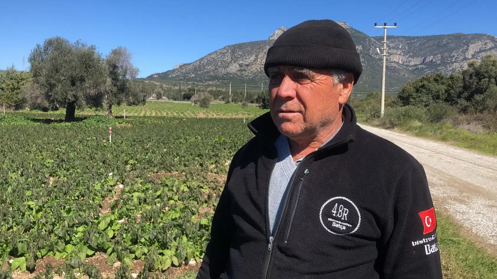 Datça'da zirai don üreticiyi etkiledi