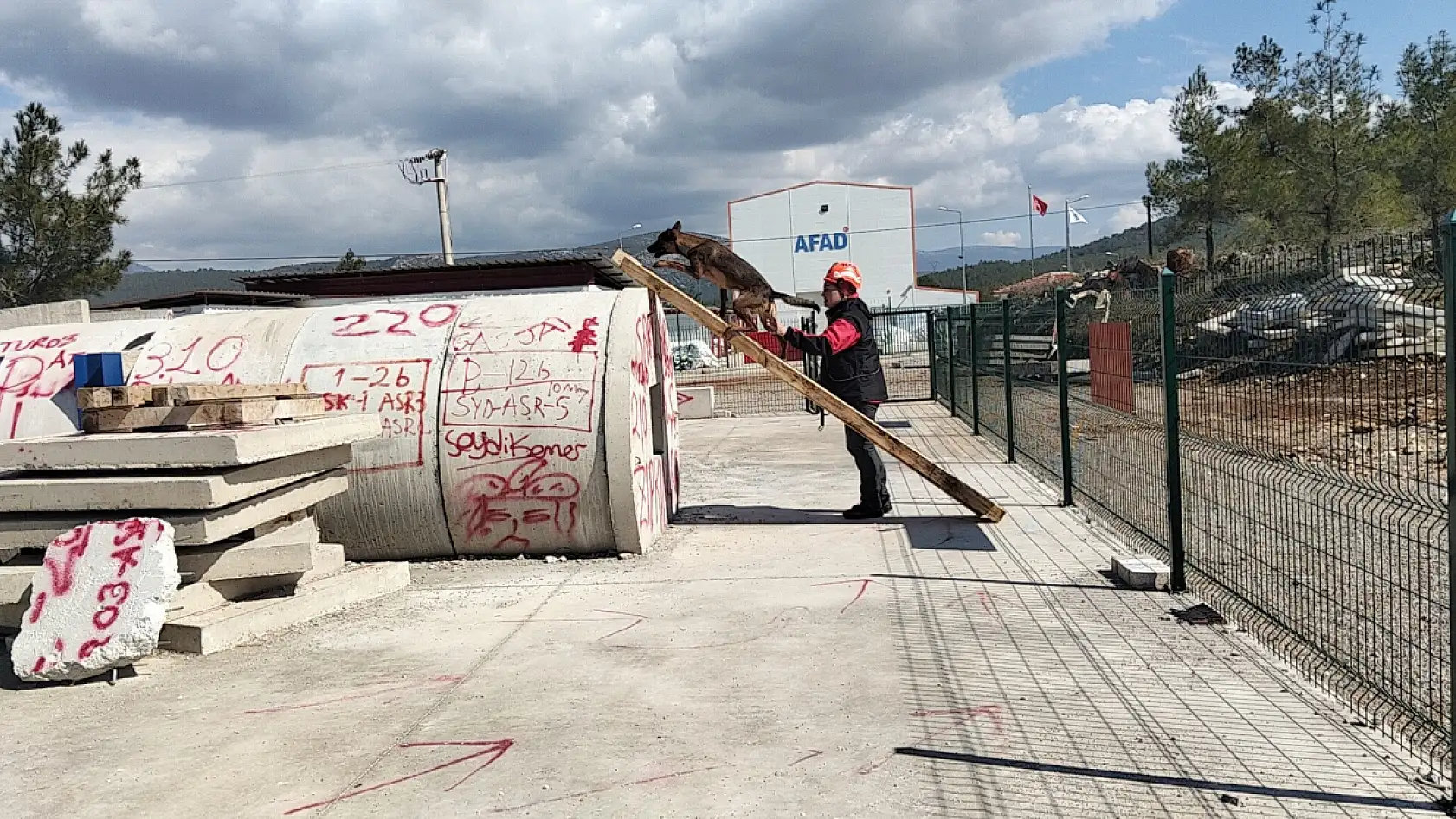 Enkazın sessiz kahramanı arama kurtarma köpeği Tayga Muğla'da görev başında