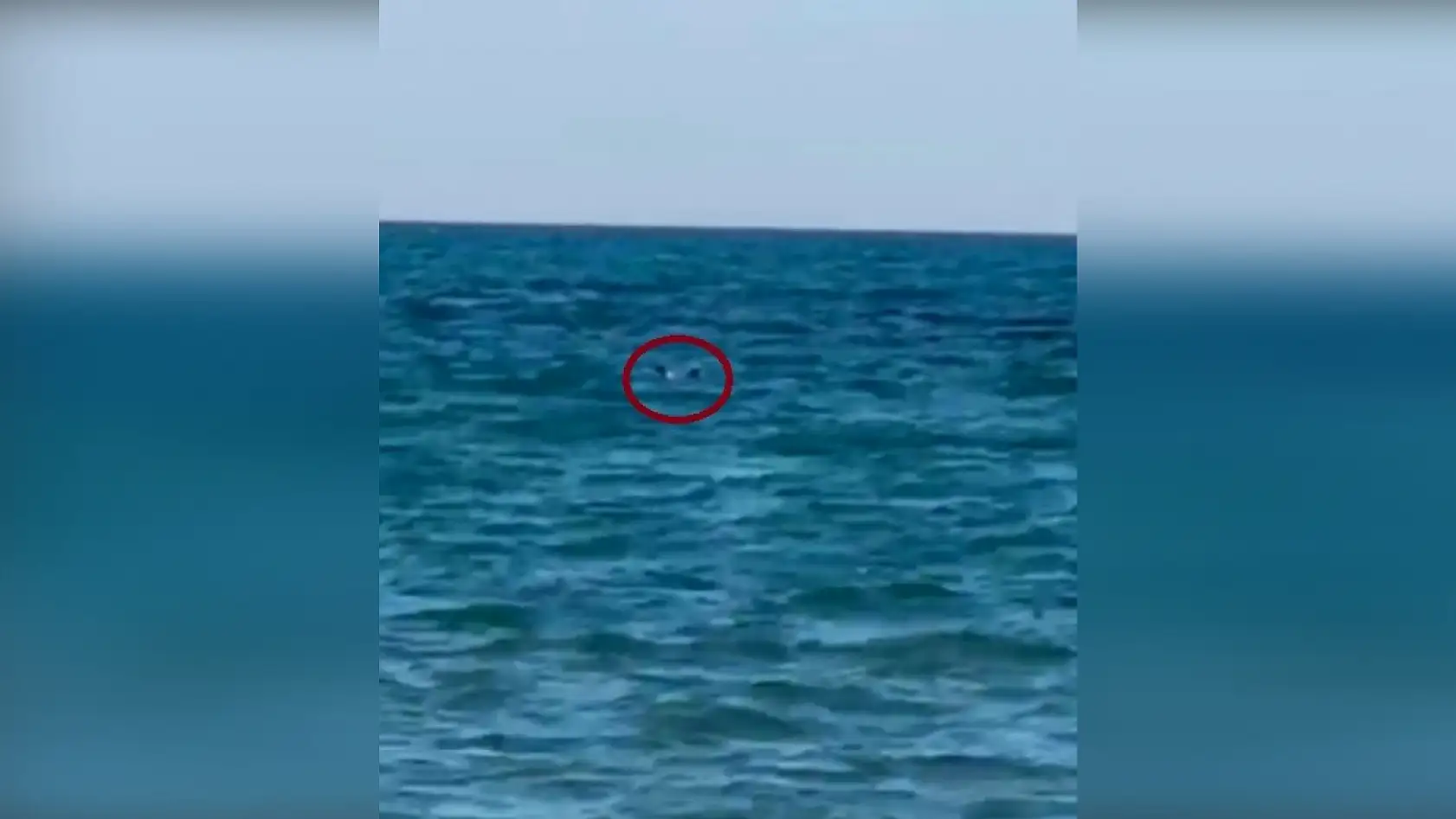 Zıpkınla balık avlarken boğuldu