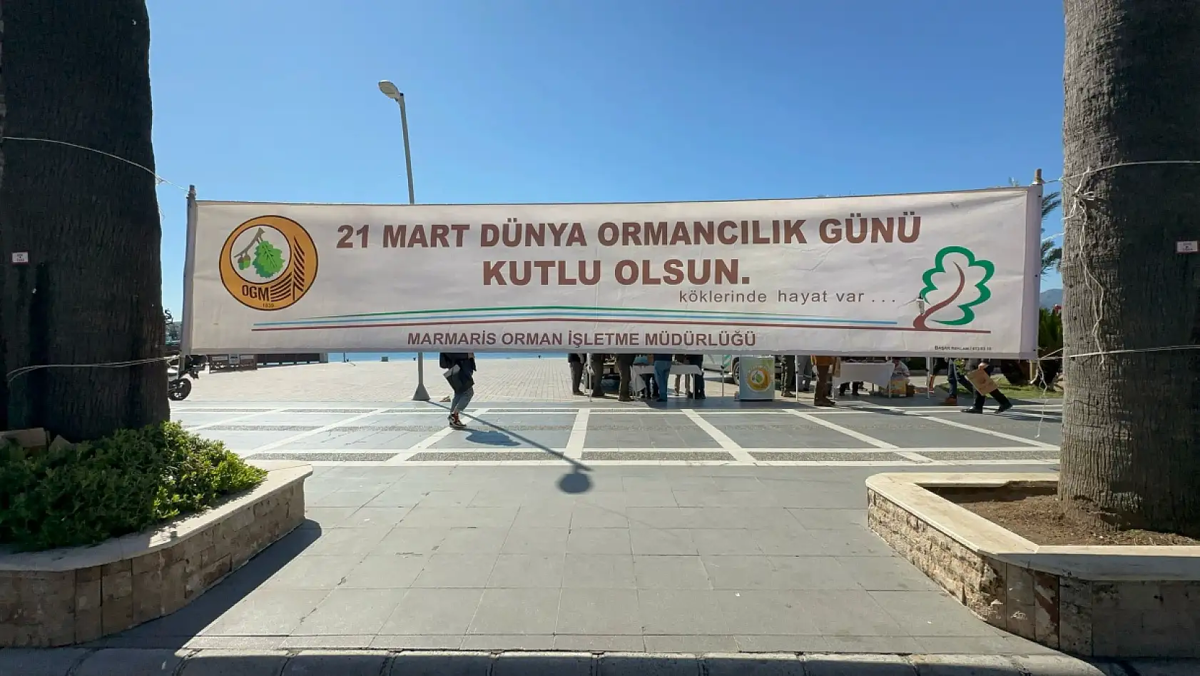 Marmaris'te Dünya Ormancılık Günü'nde binlerce fidan dağıtıldı