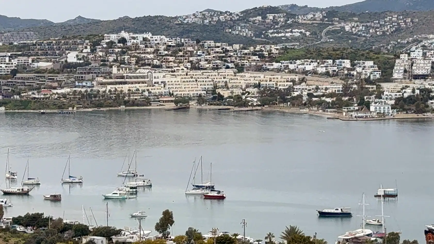 Muğla'da 528 tesis denetlendi, 223'ü kapatıldı