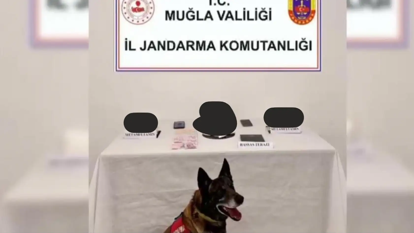 Muğla'da uyuşturucu operasyonunda 1 tutuklama