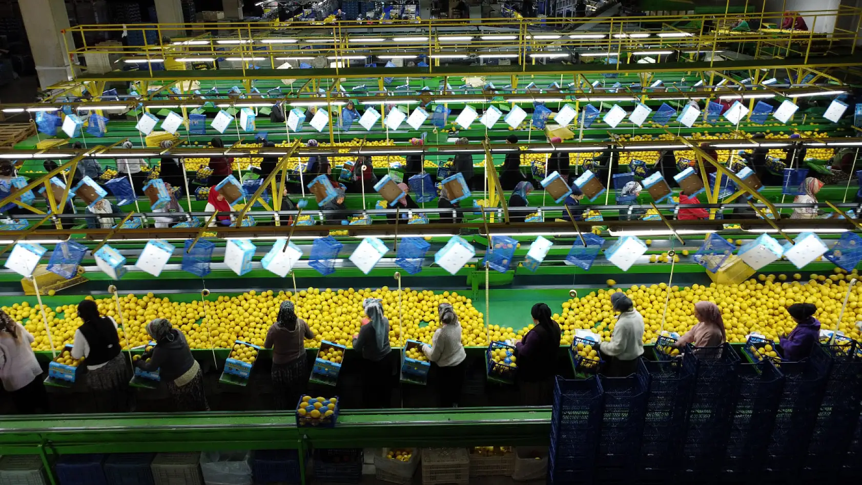 Limonda stokçuların oyunu ortaya çıktı