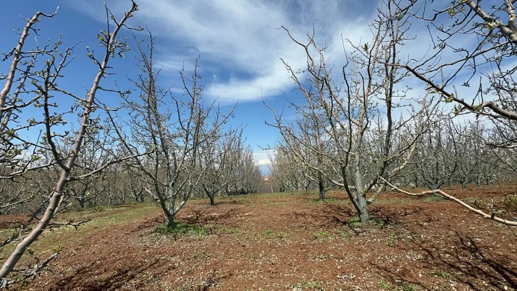 Zirai donun bilançosu ağır oldu