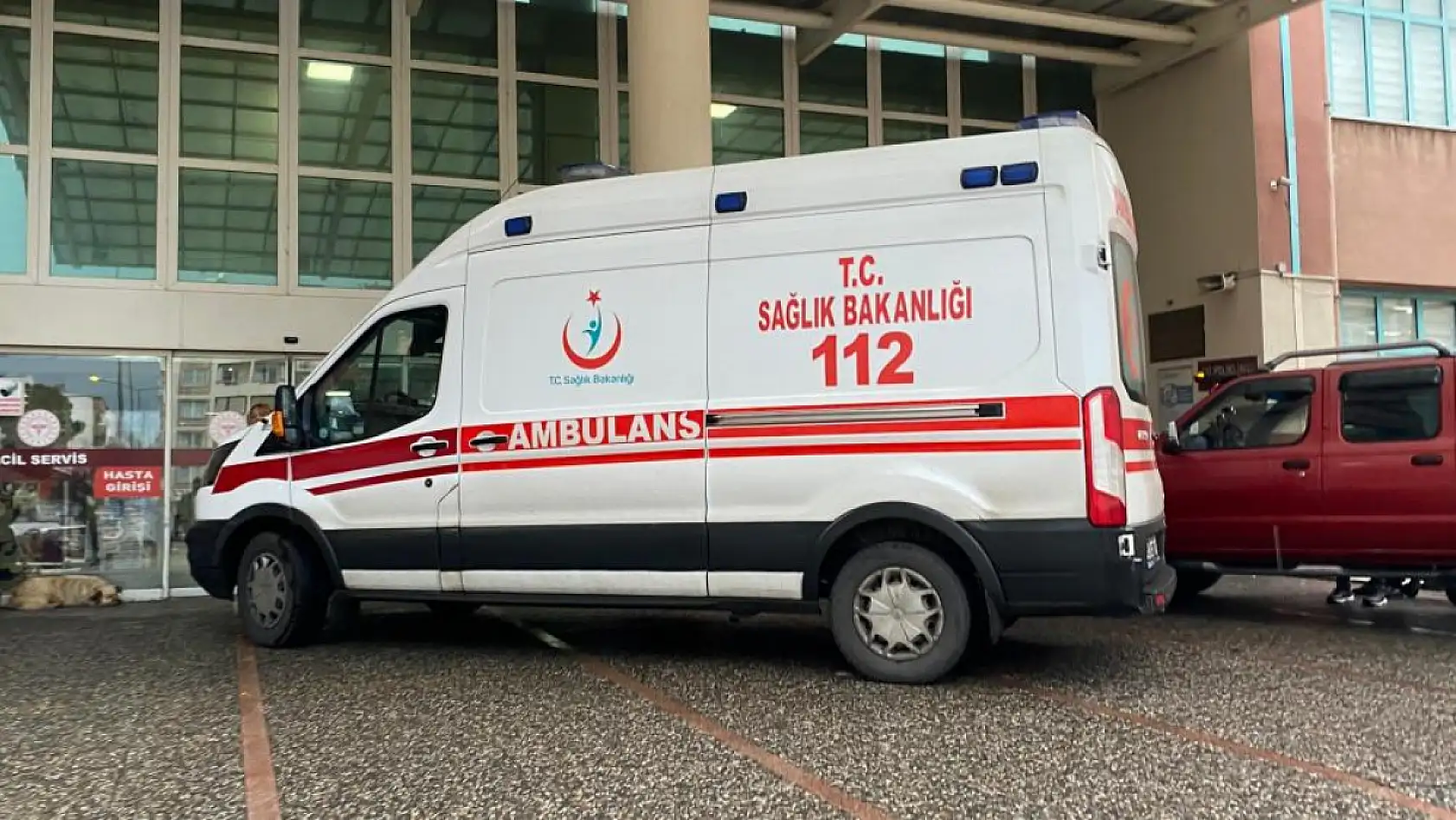 29 yaşındaki genç güreş boğasının saldırısına uğrayarak can verdi